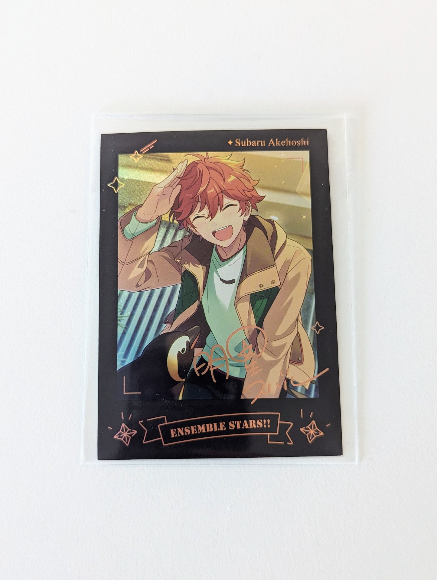 Ensemble Stars!! CN Glitter Polaroid