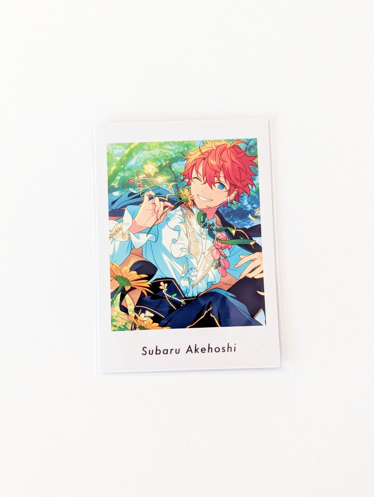 Ensemble Stars!! P.A.shots!! Vol.5 Action