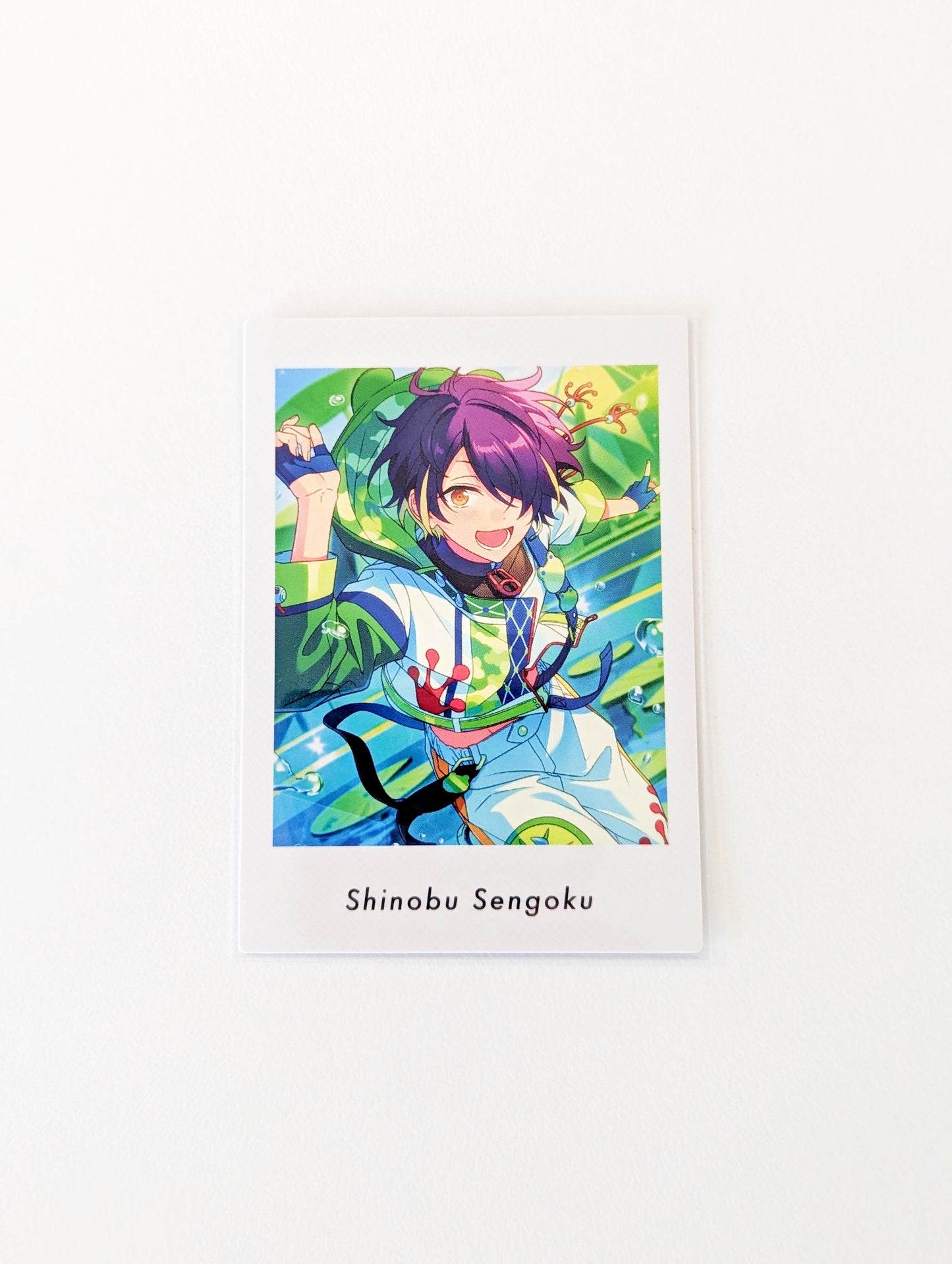 Ensemble Stars!! P.A.shots!! Vol.5 Action