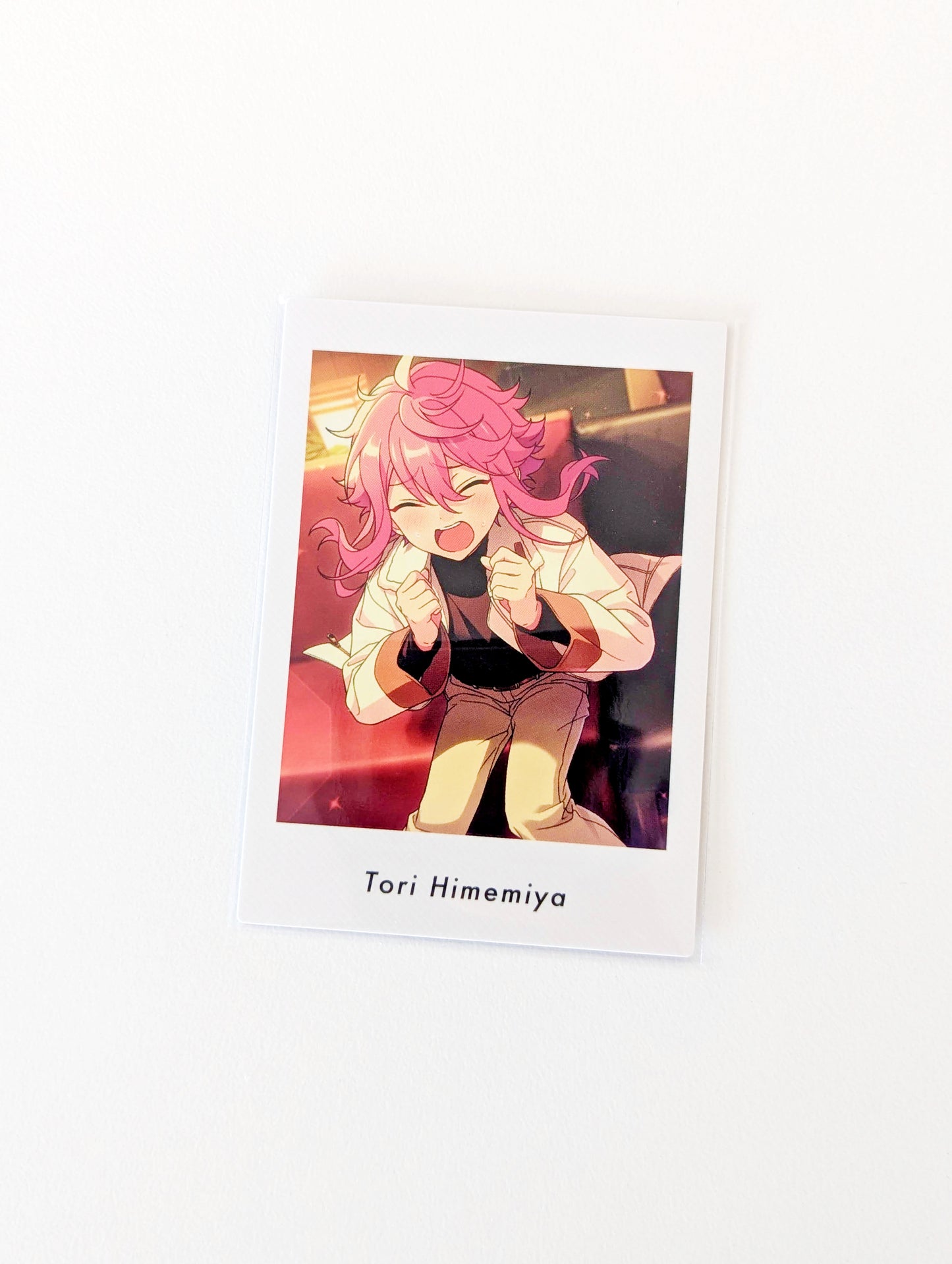 Ensemble Stars!! P.A.shots!! Vol.5 Private