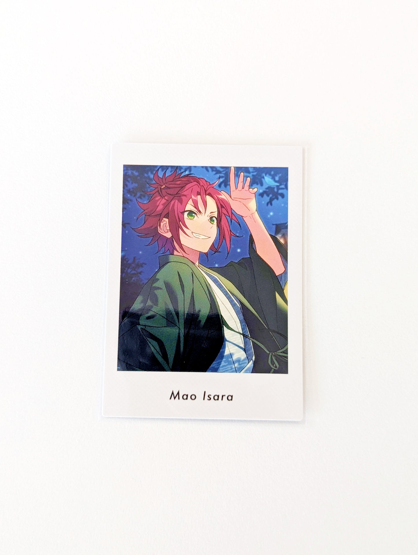 Ensemble Stars!! P.A.shots!! Vol.5 Private