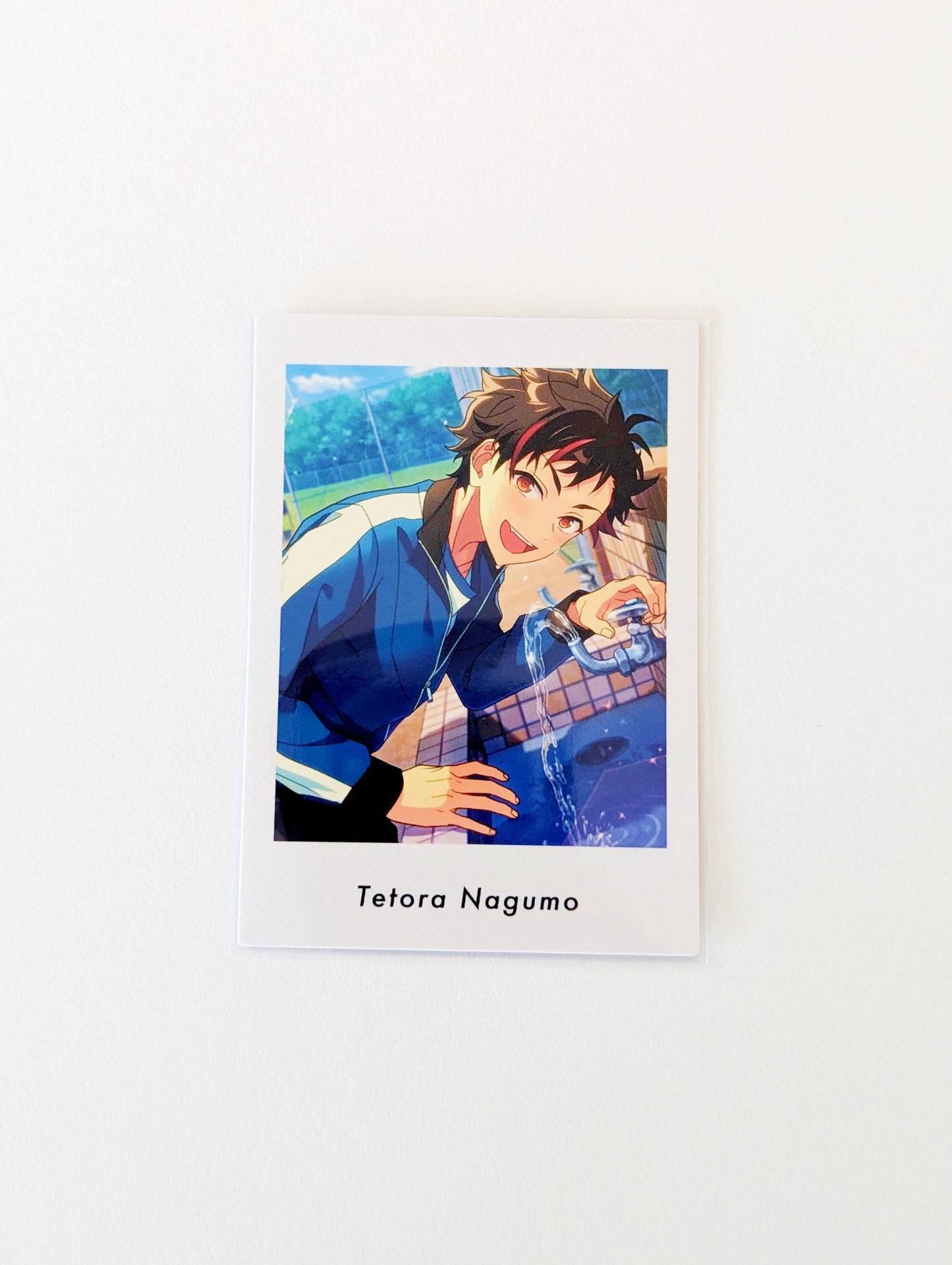 Ensemble Stars!! P.A.shots!! Vol.5 Private