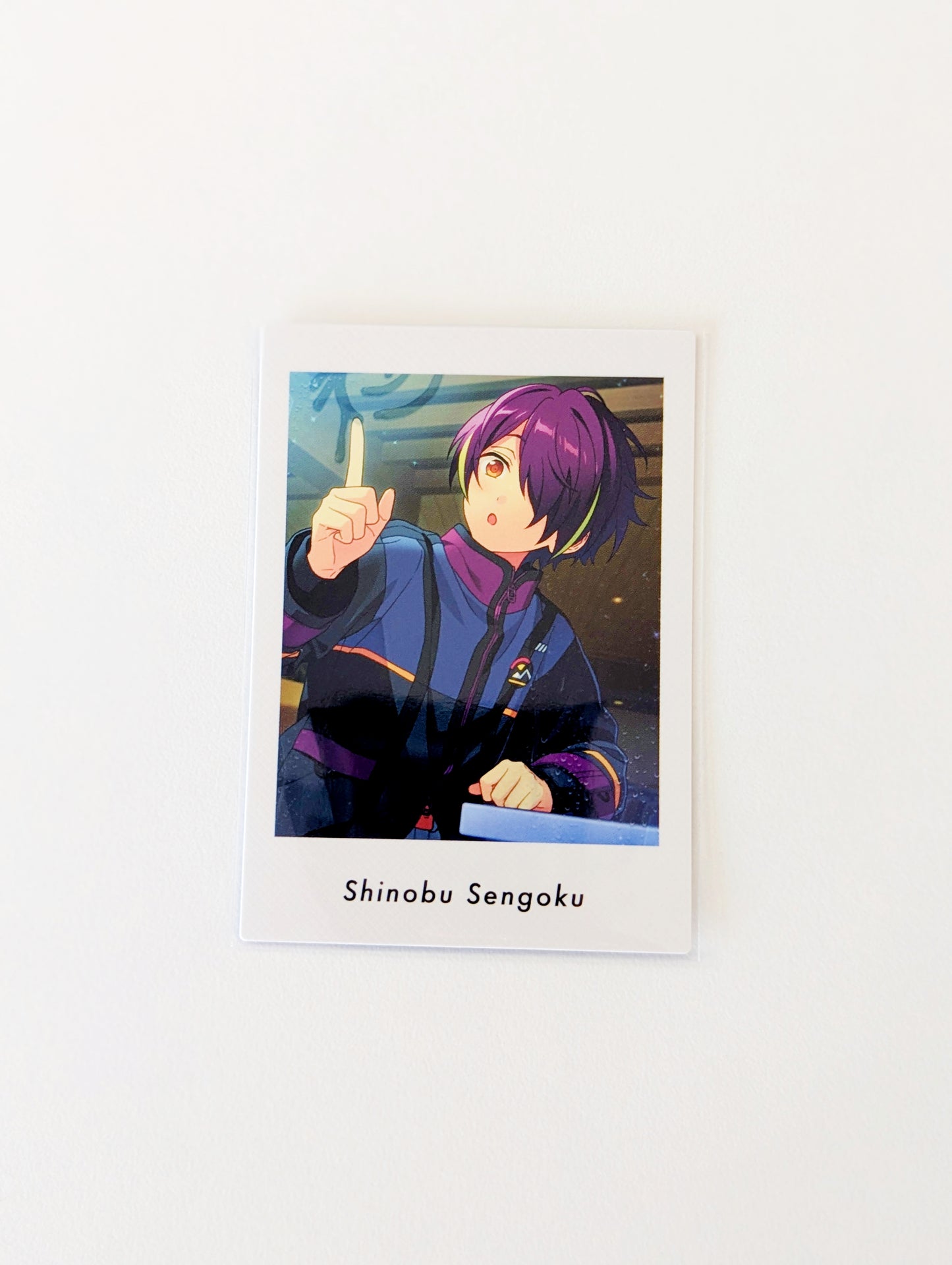 Ensemble Stars!! P.A.shots!! Vol.5 Private