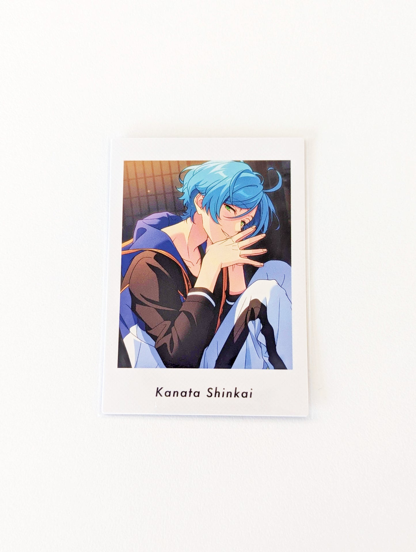 Ensemble Stars!! P.A.shots!! Vol.5 Private