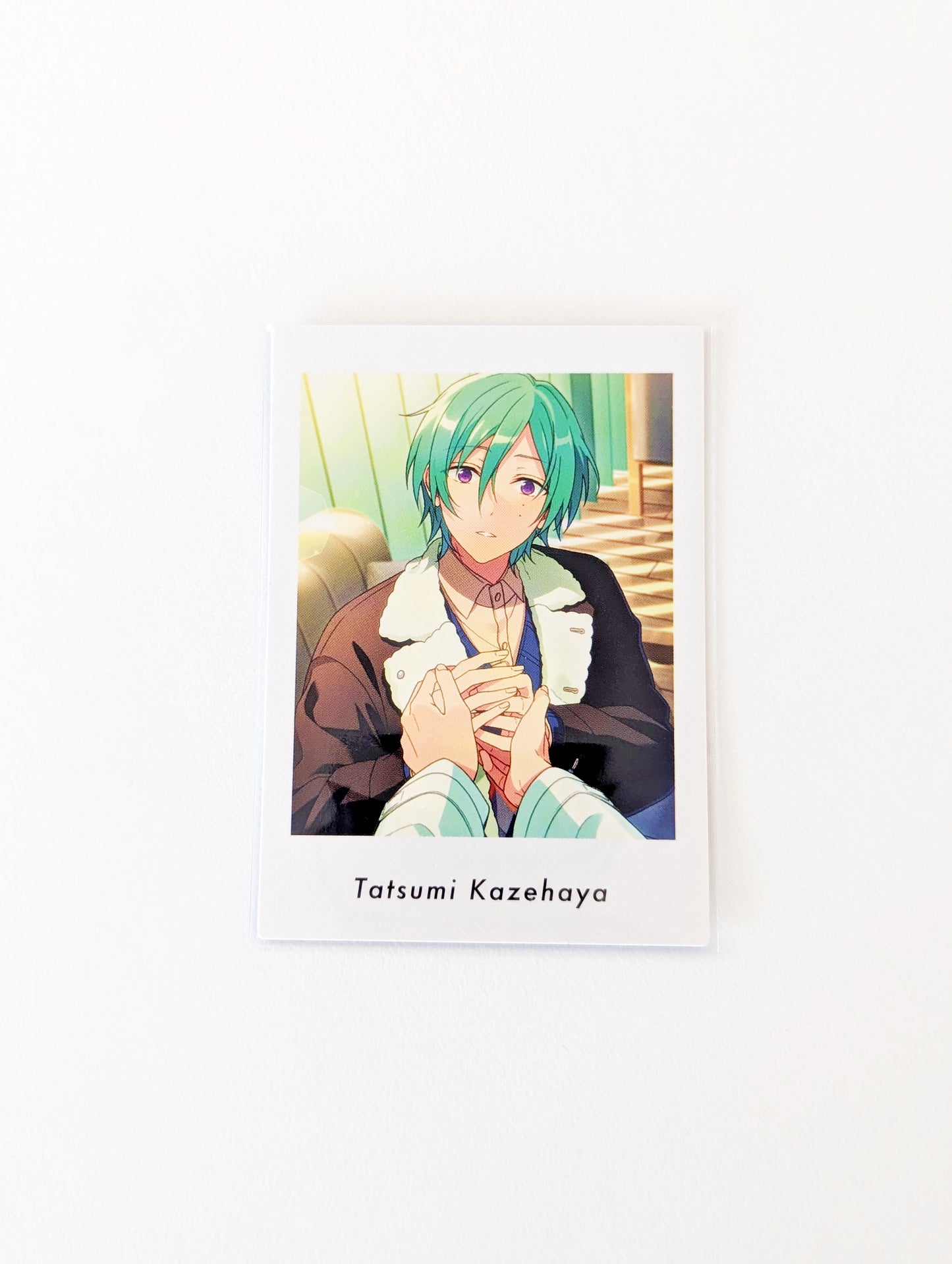 Ensemble Stars!! P.A.shots!! Vol.5 Private