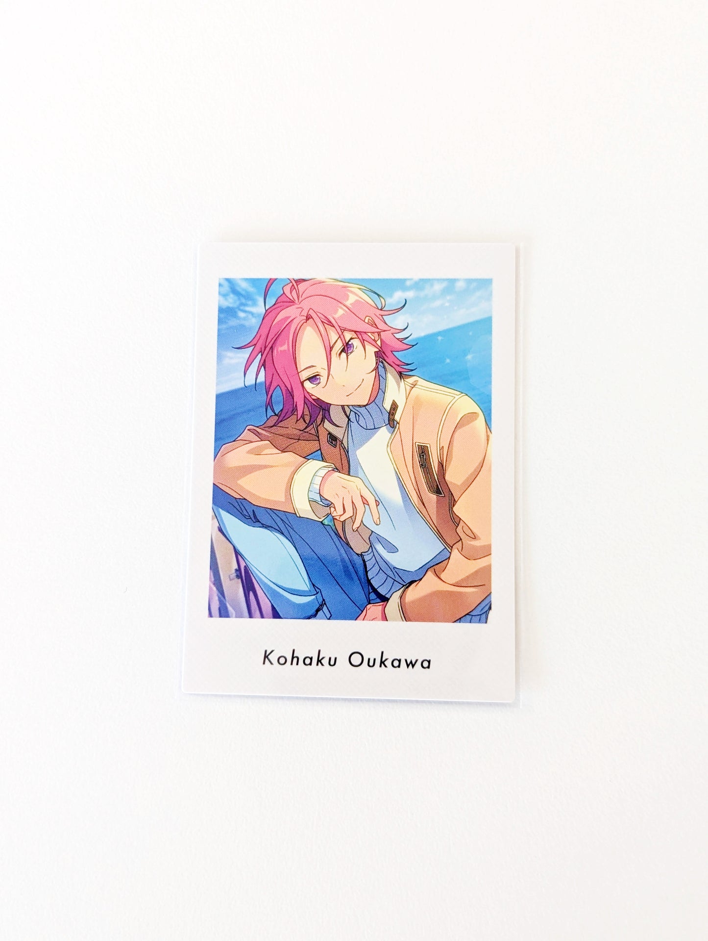 Ensemble Stars!! P.A.shots!! Vol.5 Private