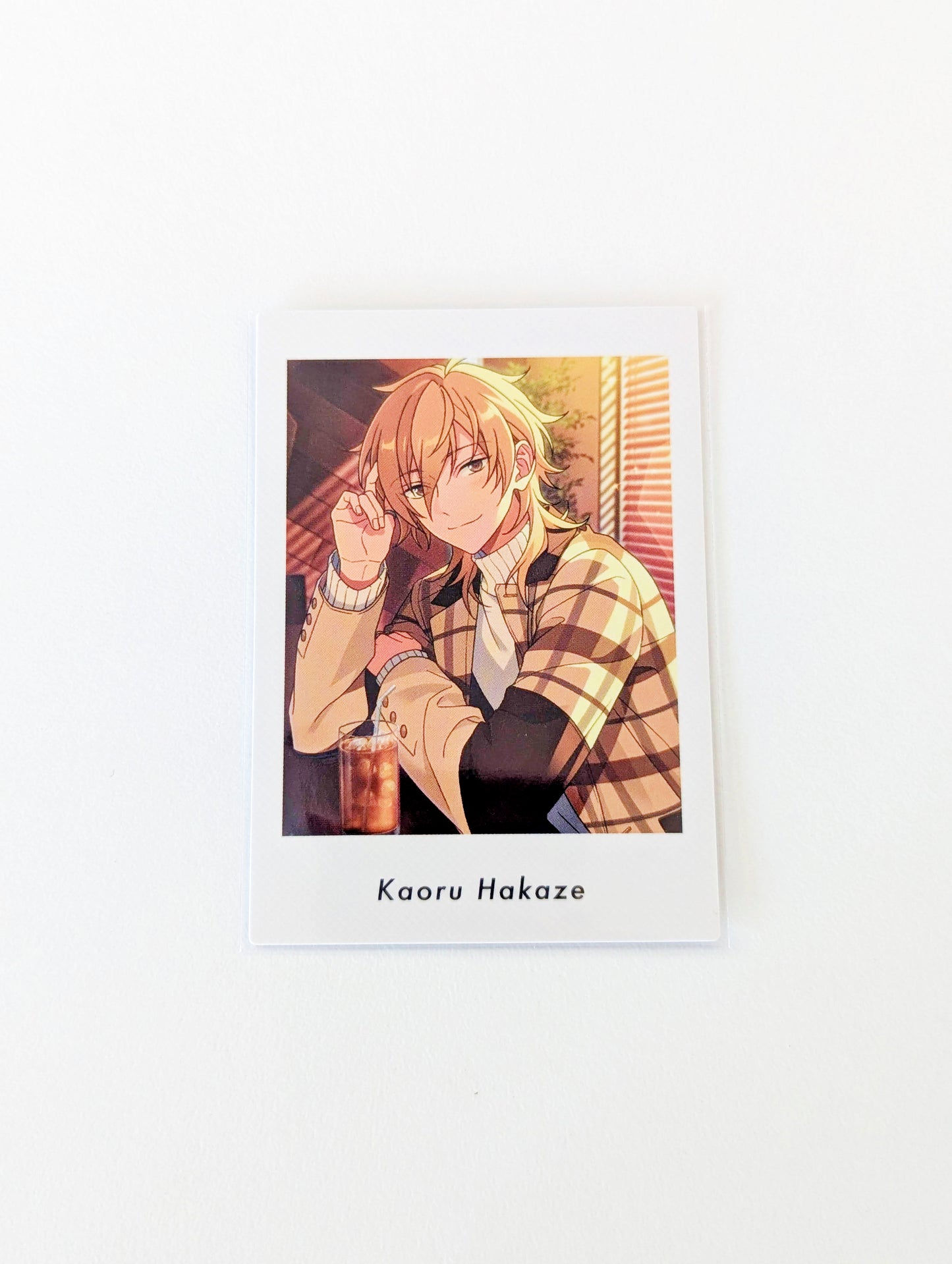 Ensemble Stars!! P.A.shots!! Vol.5 Private