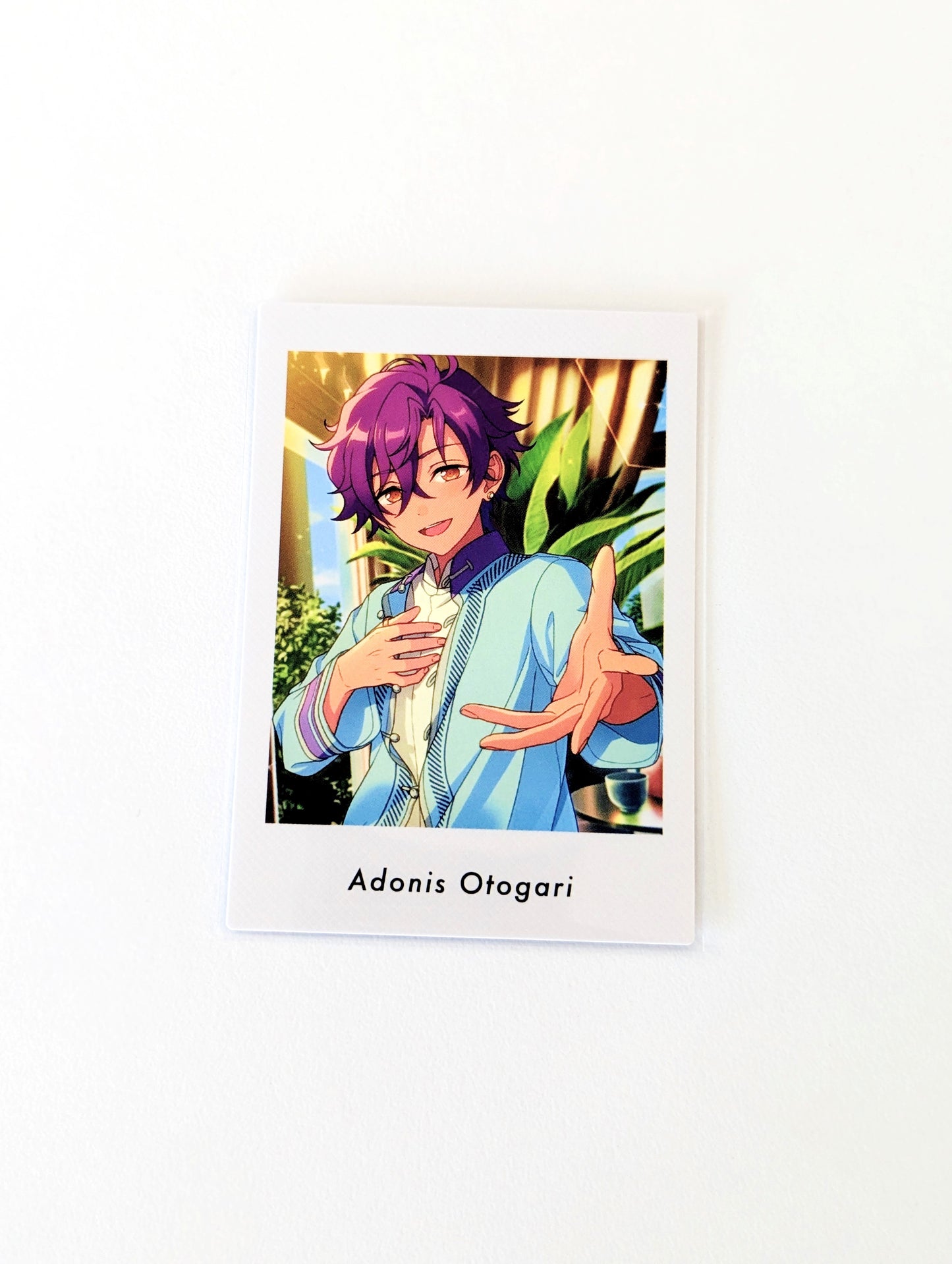 Ensemble Stars!! P.A.shots!! Vol.5 Private