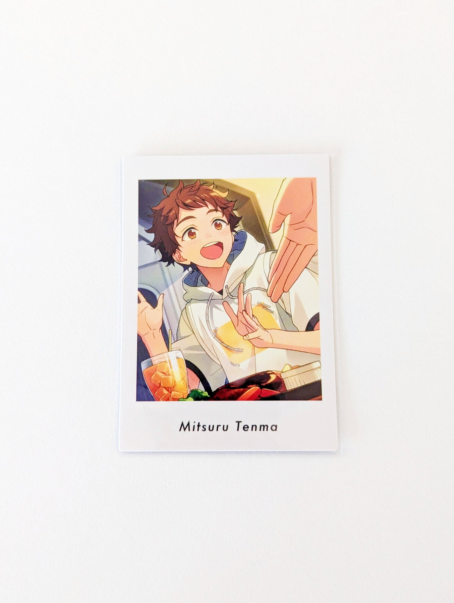 Ensemble Stars!! P.A.shots!! Vol.5 Private