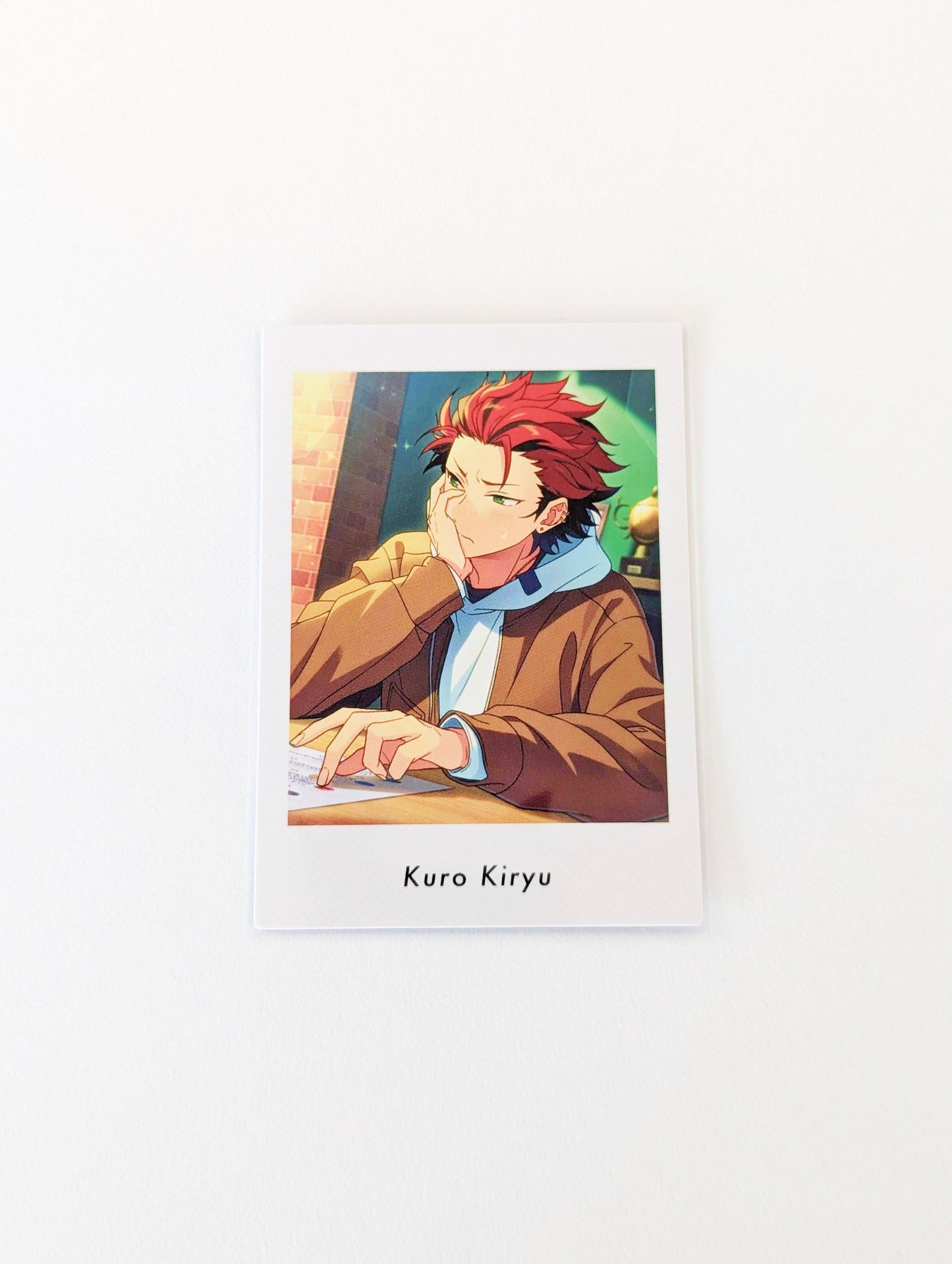 Ensemble Stars!! P.A.shots!! Vol.5 Private