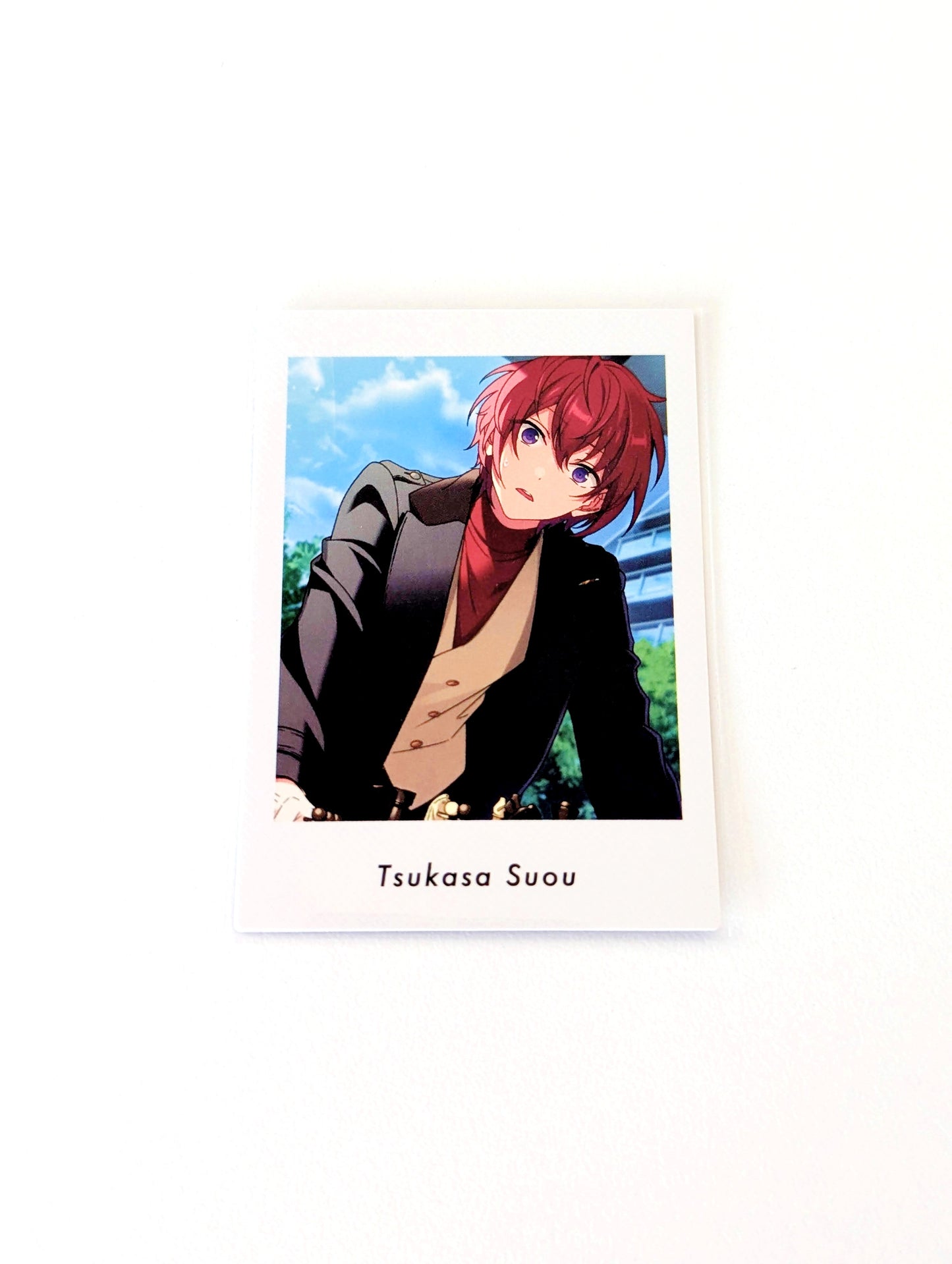 Ensemble Stars!! P.A.shots!! Vol.5 Private