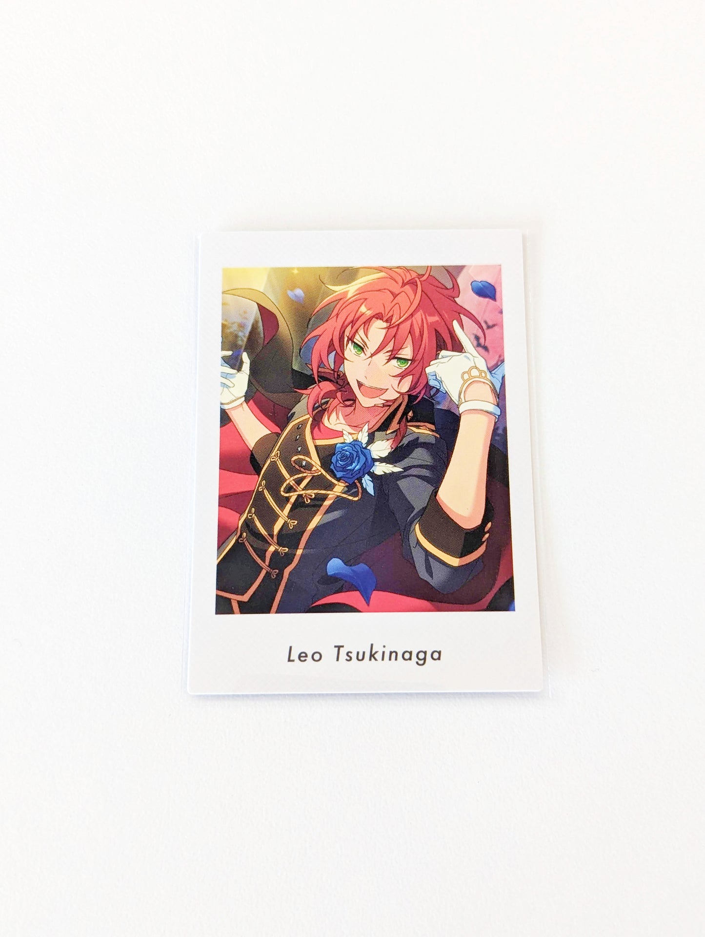 Ensemble Stars!! P.A.shots!! Vol.5 Private