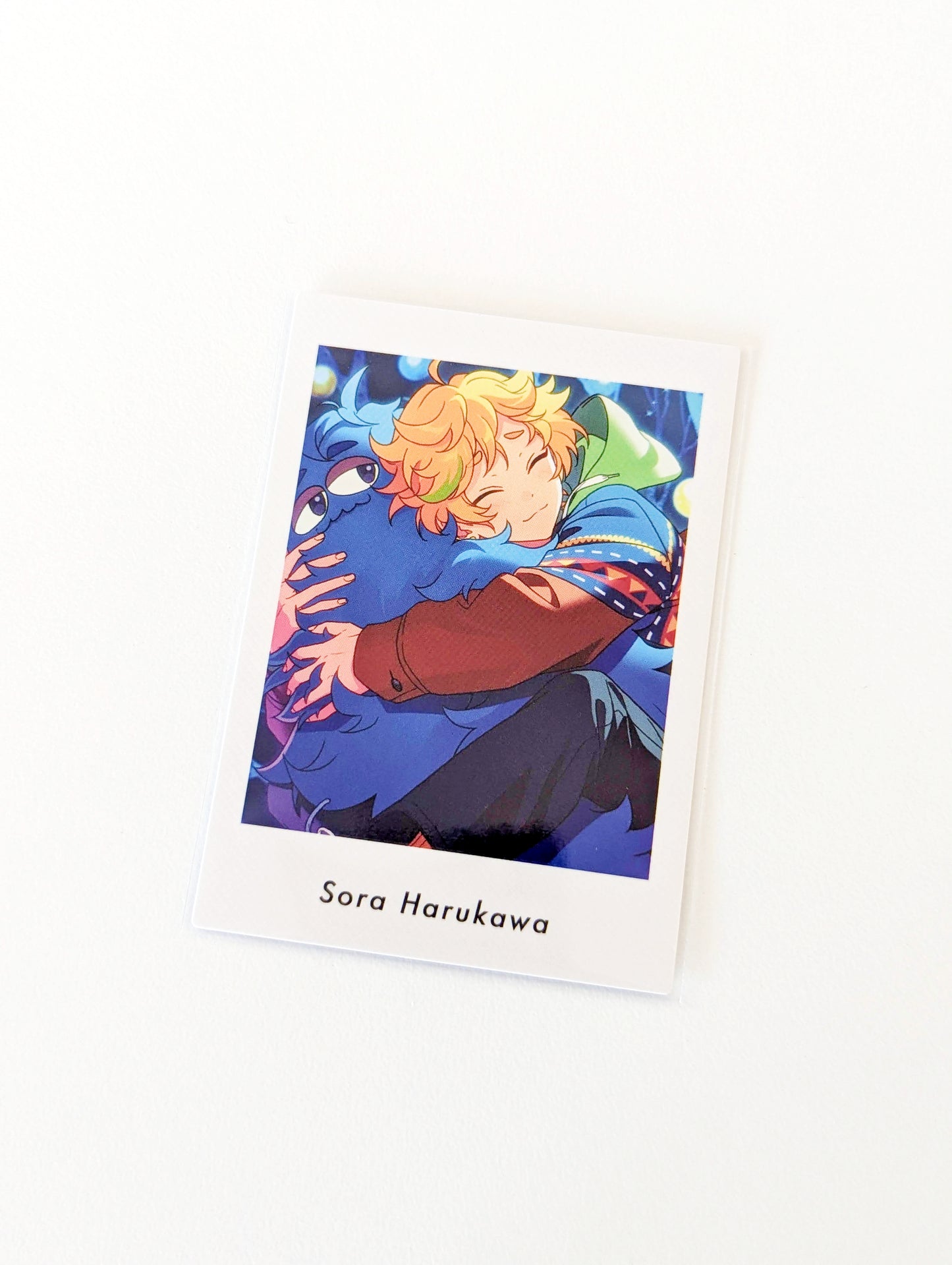 Ensemble Stars!! P.A.shots!! Vol.5 Private