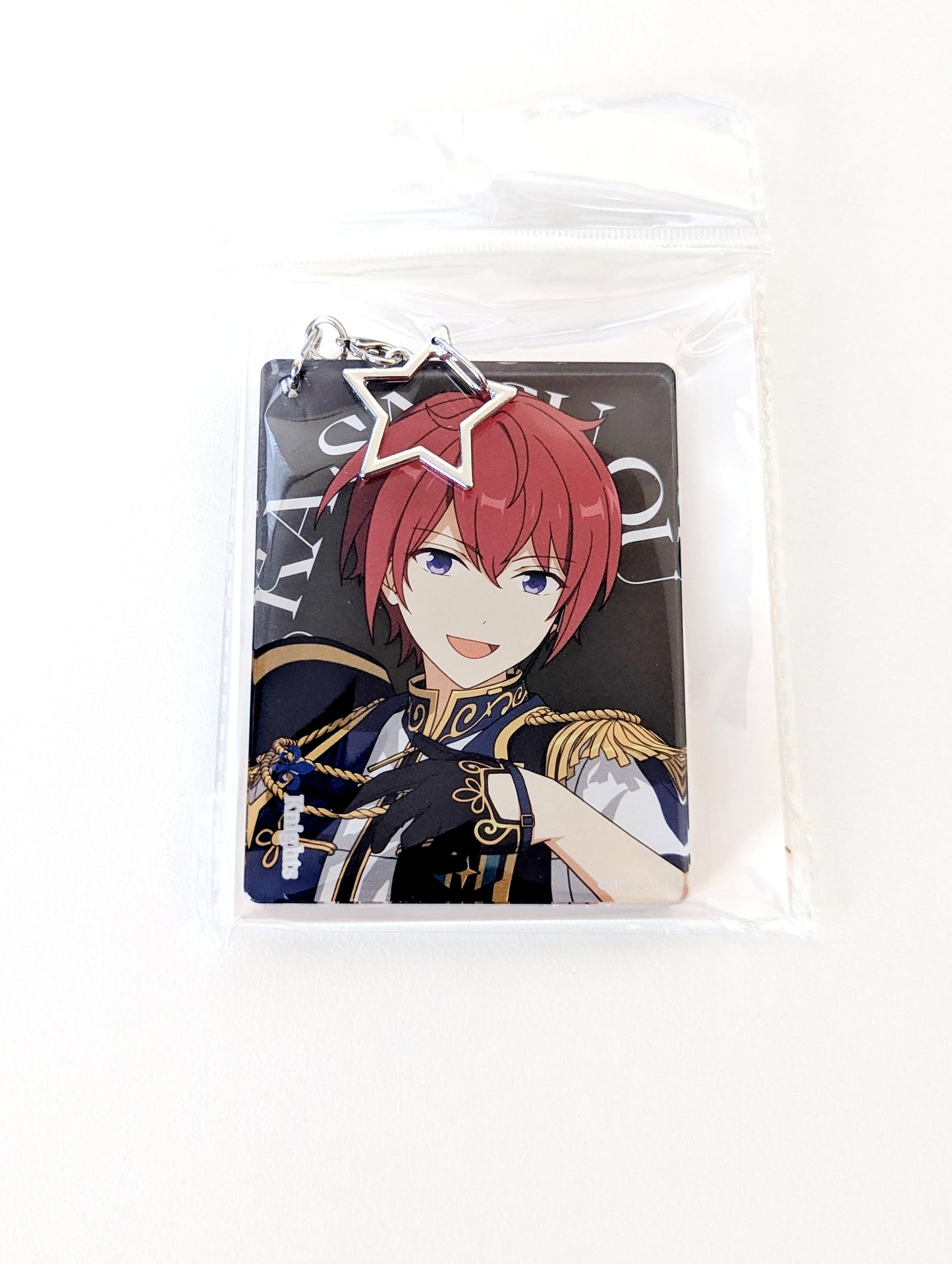Ensemble Stars!! DREAM LIVE 9th Tour "Trapezium #Orion" - CN Acrylic Keychain