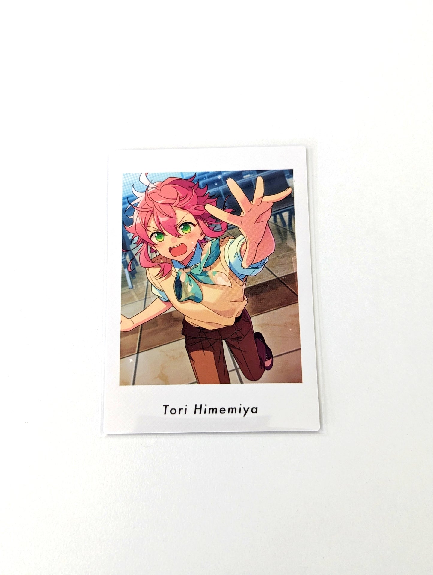 Ensemble Stars!! P.A.shots!! Vol.6 Private