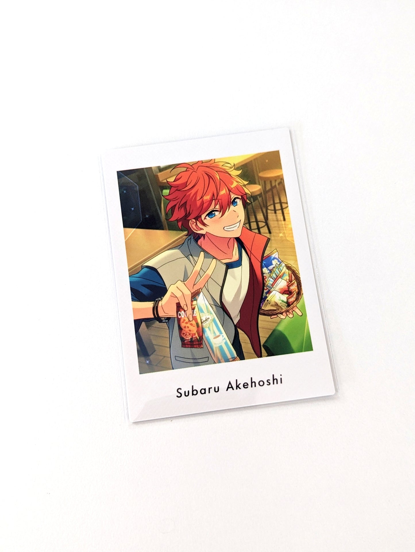 Ensemble Stars!! P.A.shots!! Vol.6 Private