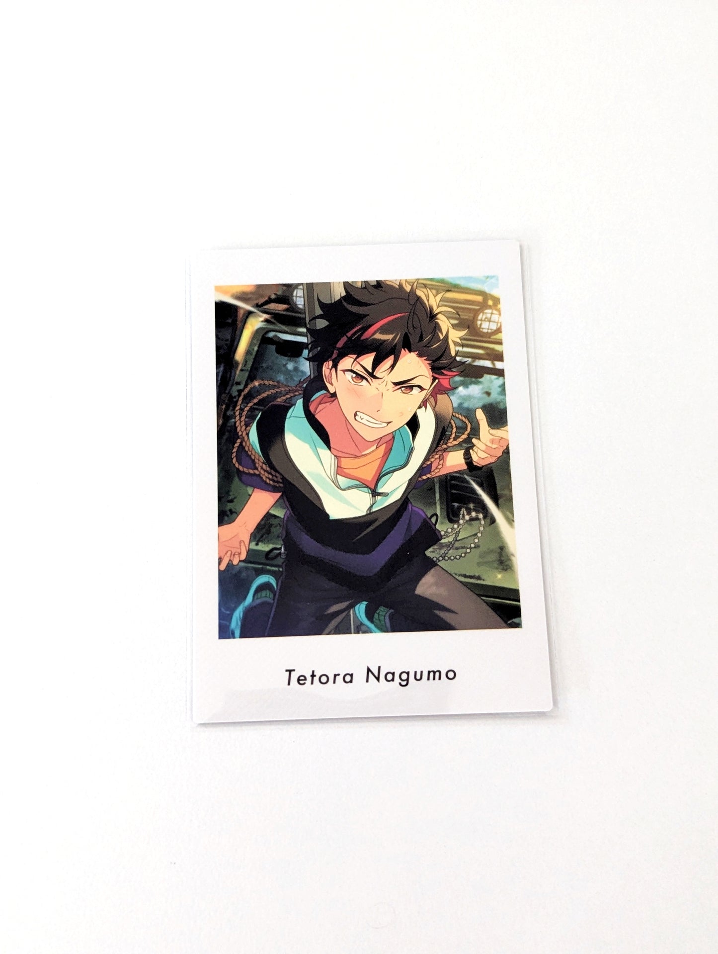 Ensemble Stars!! P.A.shots!! Vol.6 Private