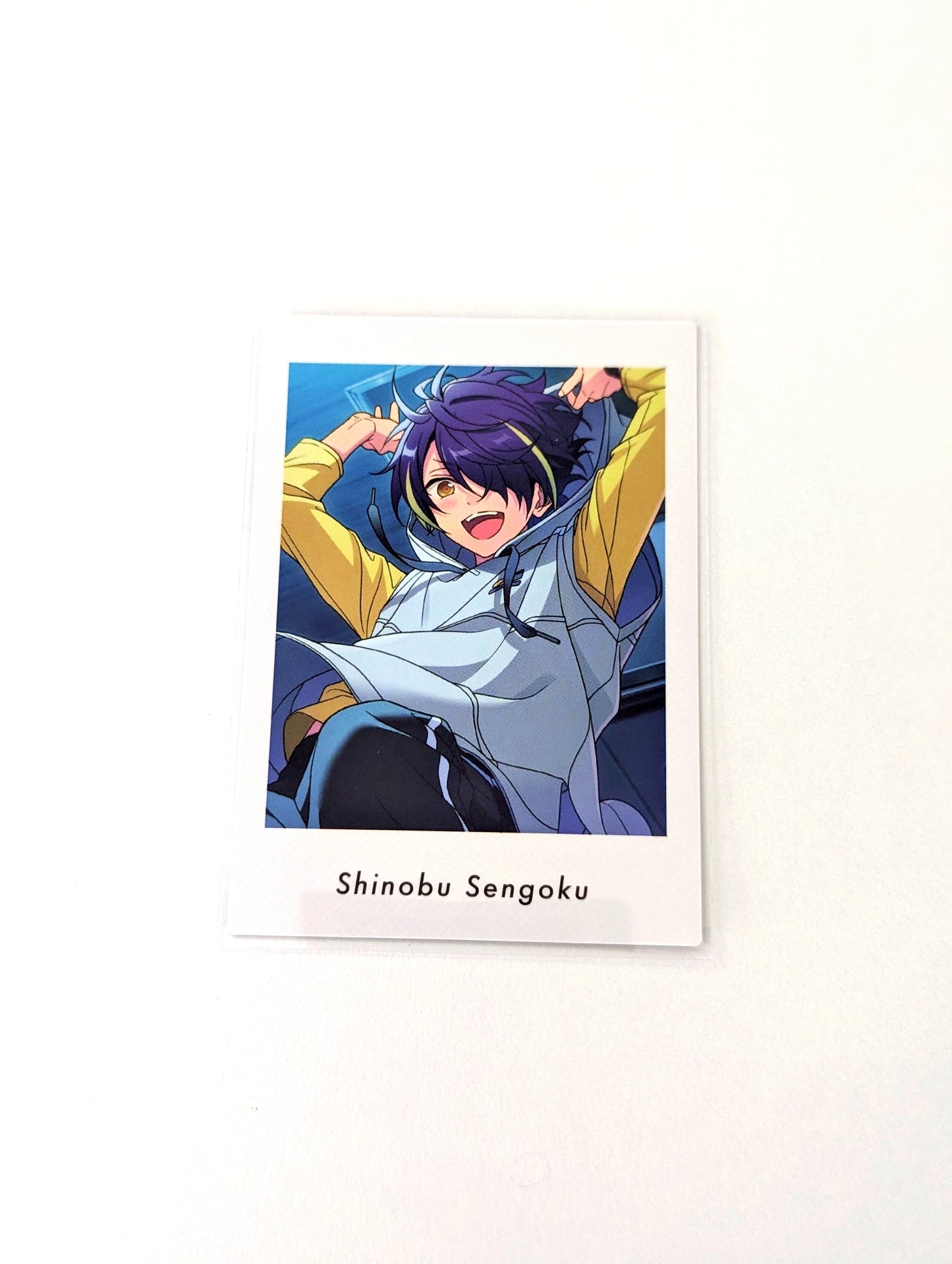 Ensemble Stars!! P.A.shots!! Vol.6 Private