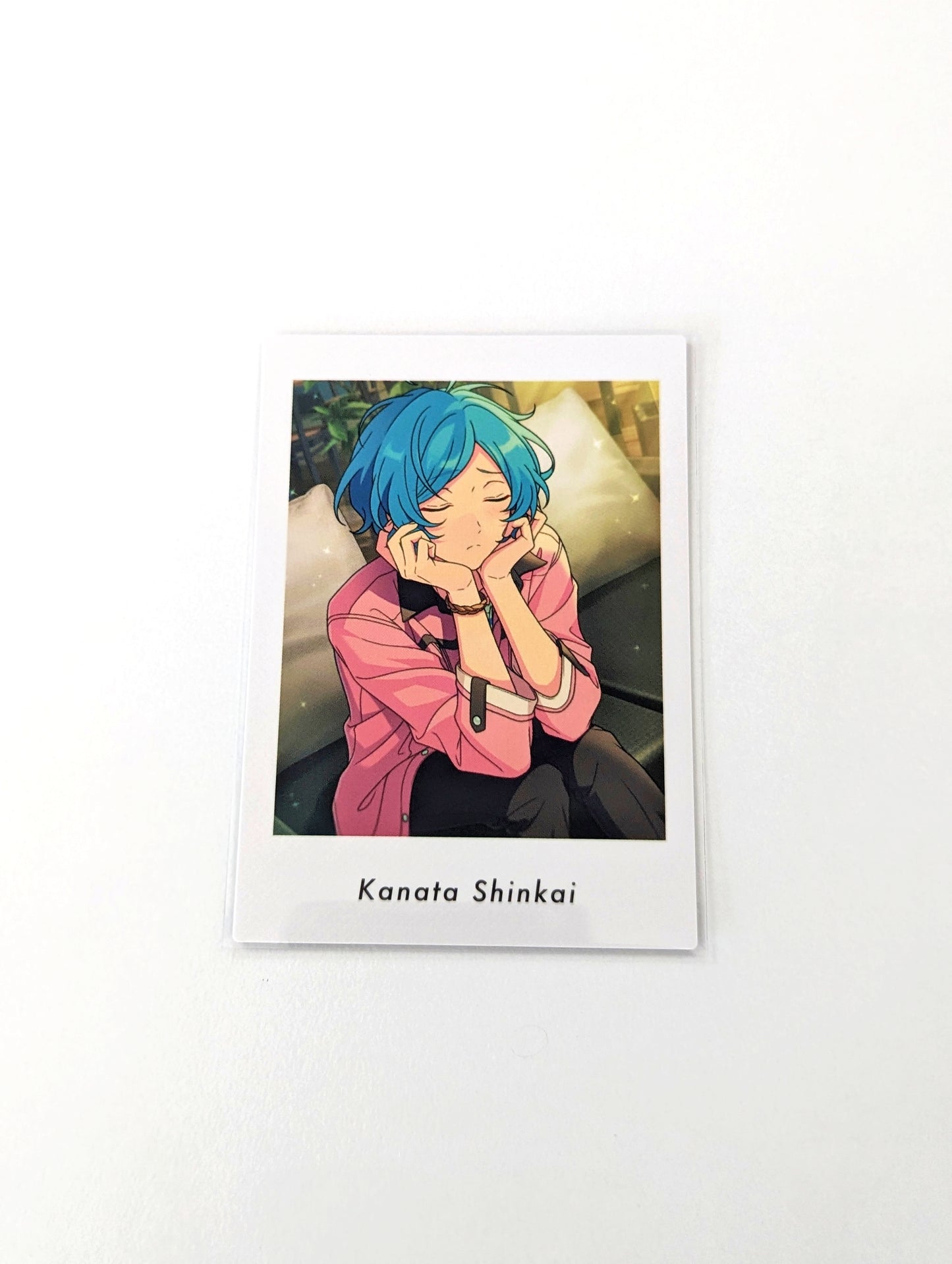 Ensemble Stars!! P.A.shots!! Vol.6 Private