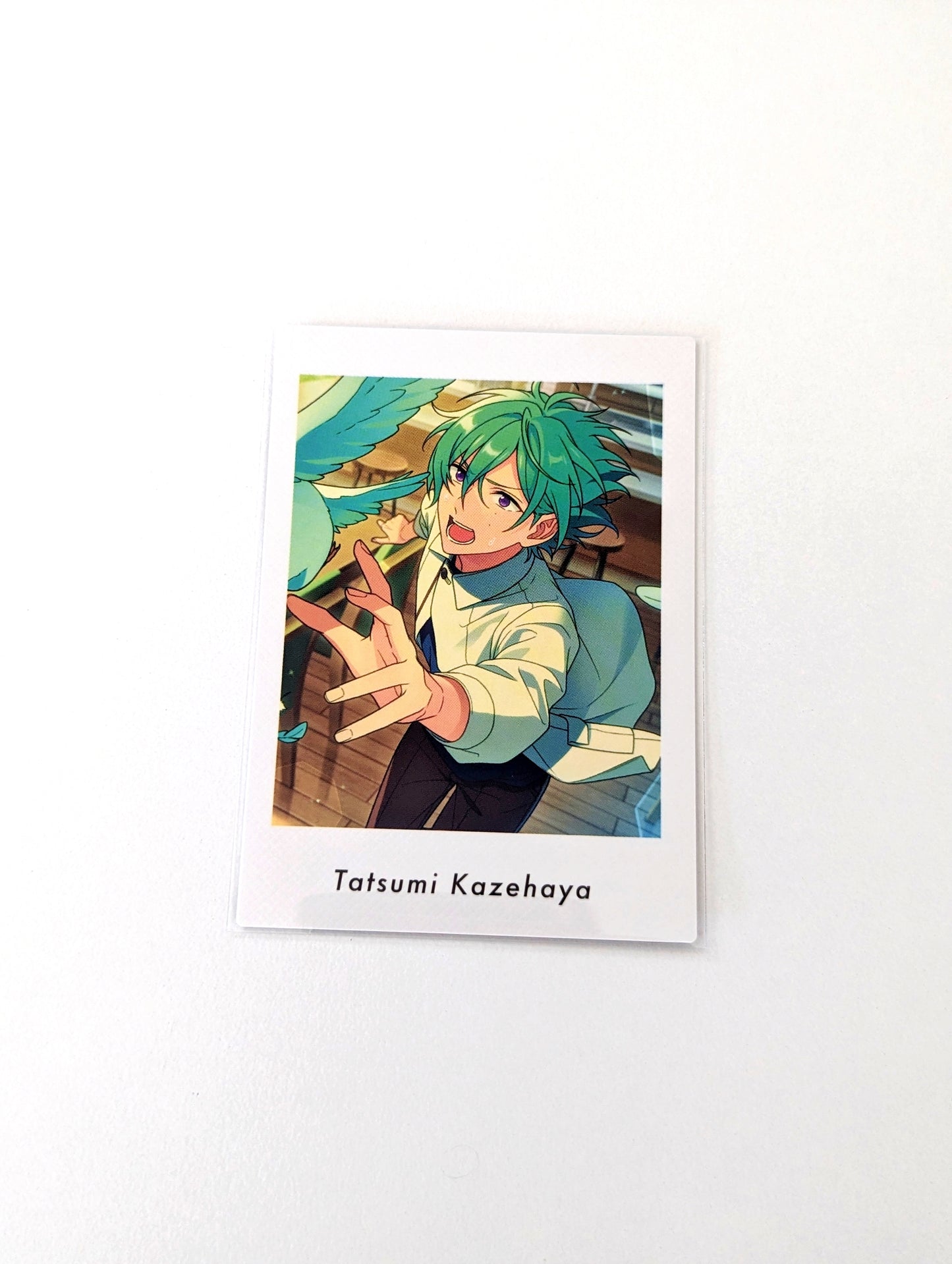 Ensemble Stars!! P.A.shots!! Vol.6 Private