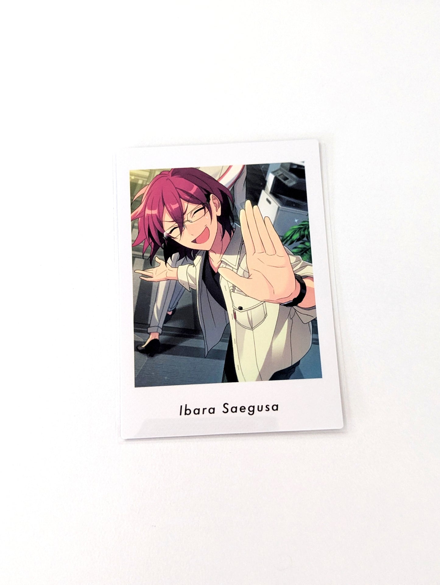 Ensemble Stars!! P.A.shots!! Vol.6 Private