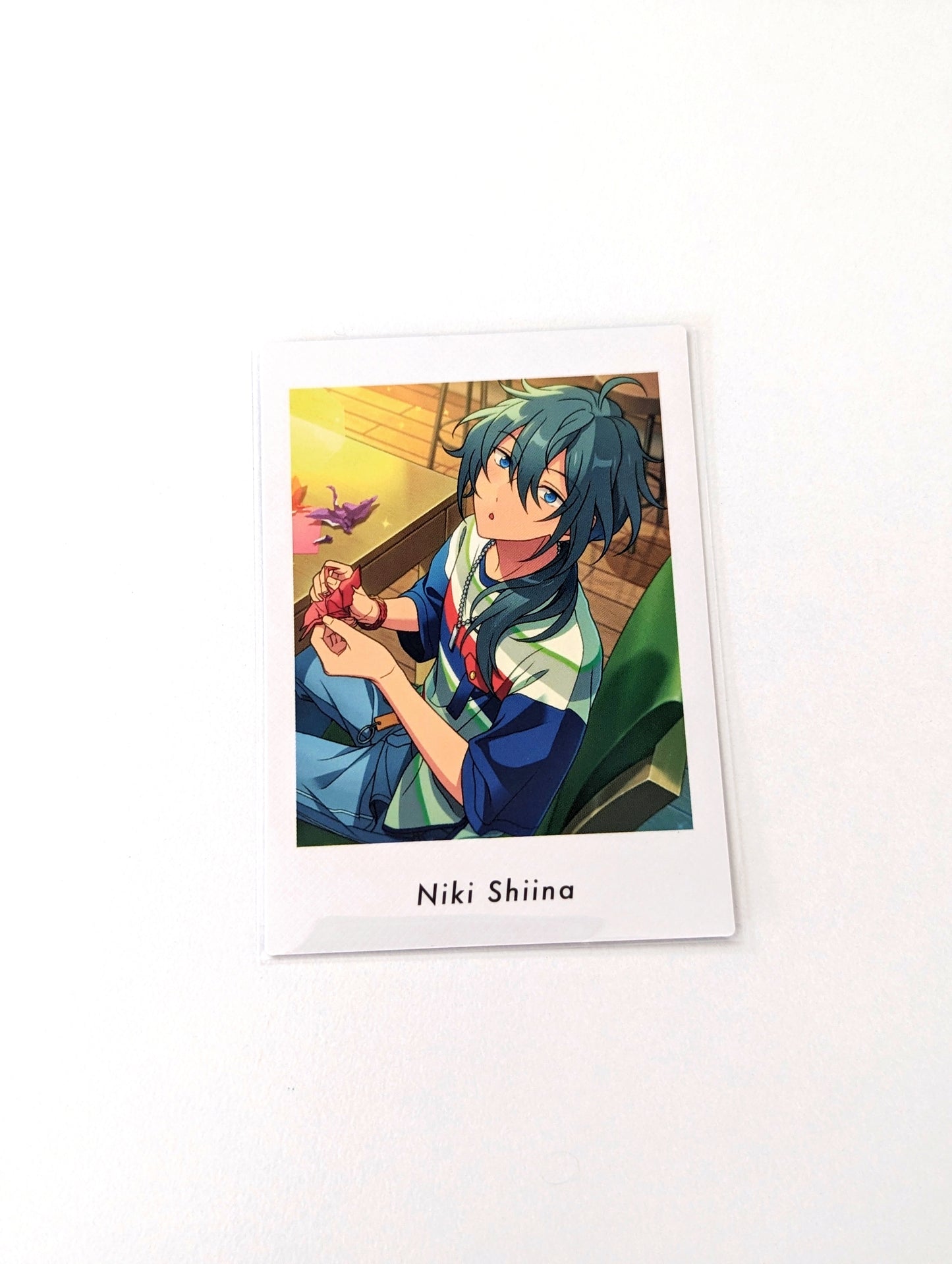 Ensemble Stars!! P.A.shots!! Vol.6 Private