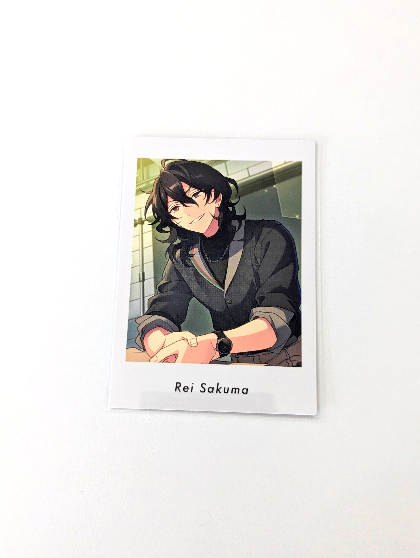 Ensemble Stars!! P.A.shots!! Vol.6 Private