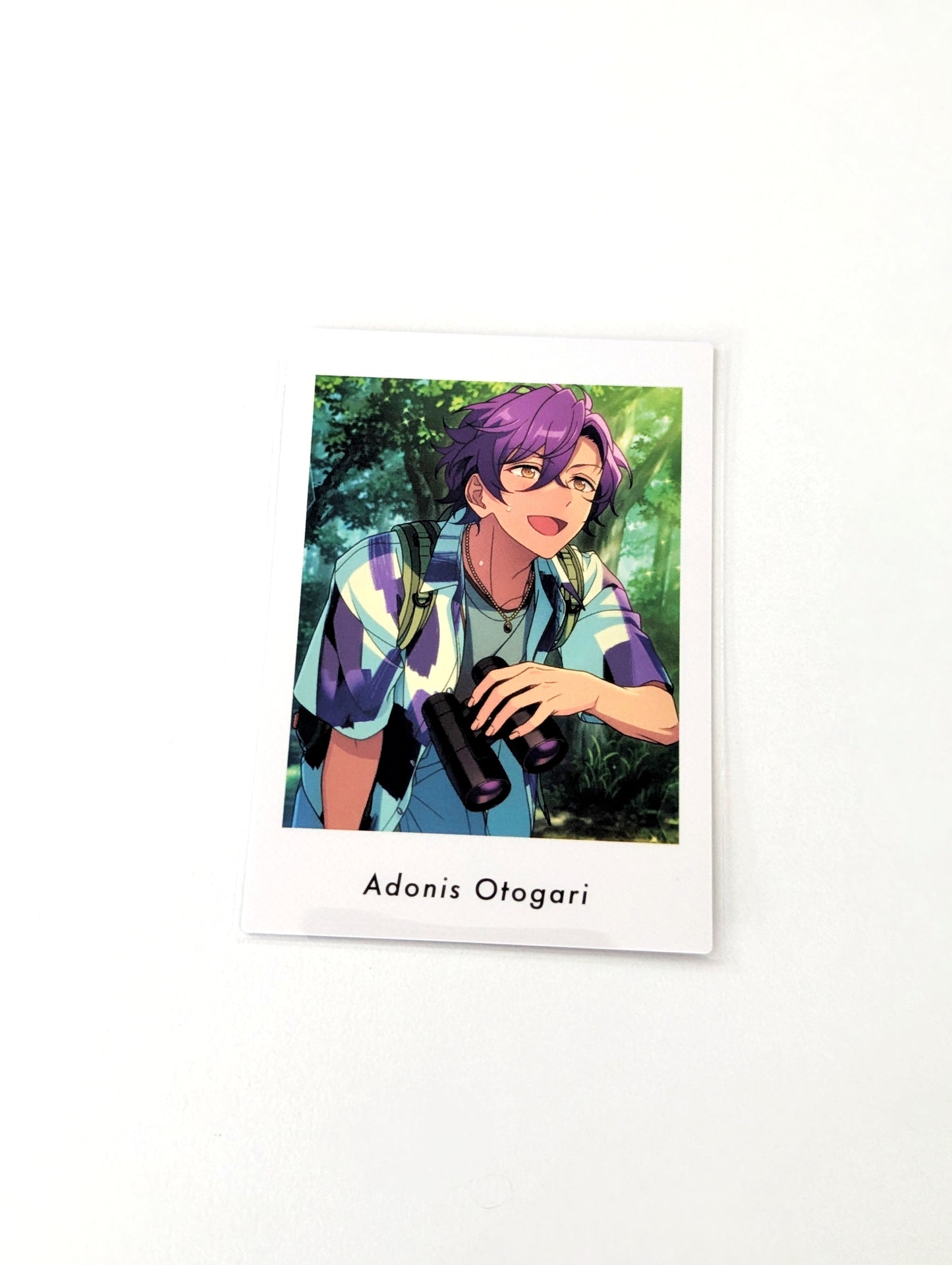 Ensemble Stars!! P.A.shots!! Vol.6 Private