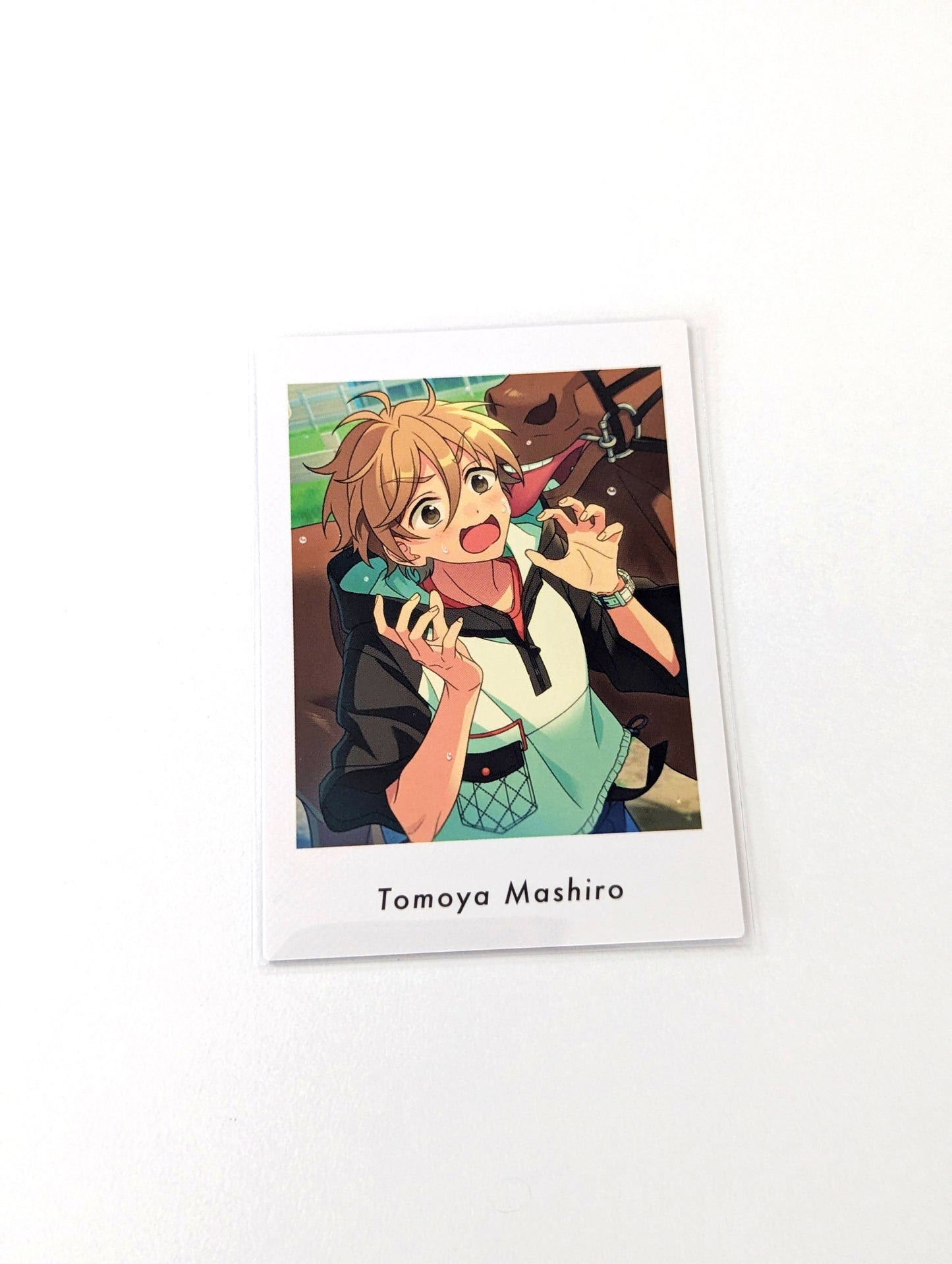 Ensemble Stars!! P.A.shots!! Vol.6 Private