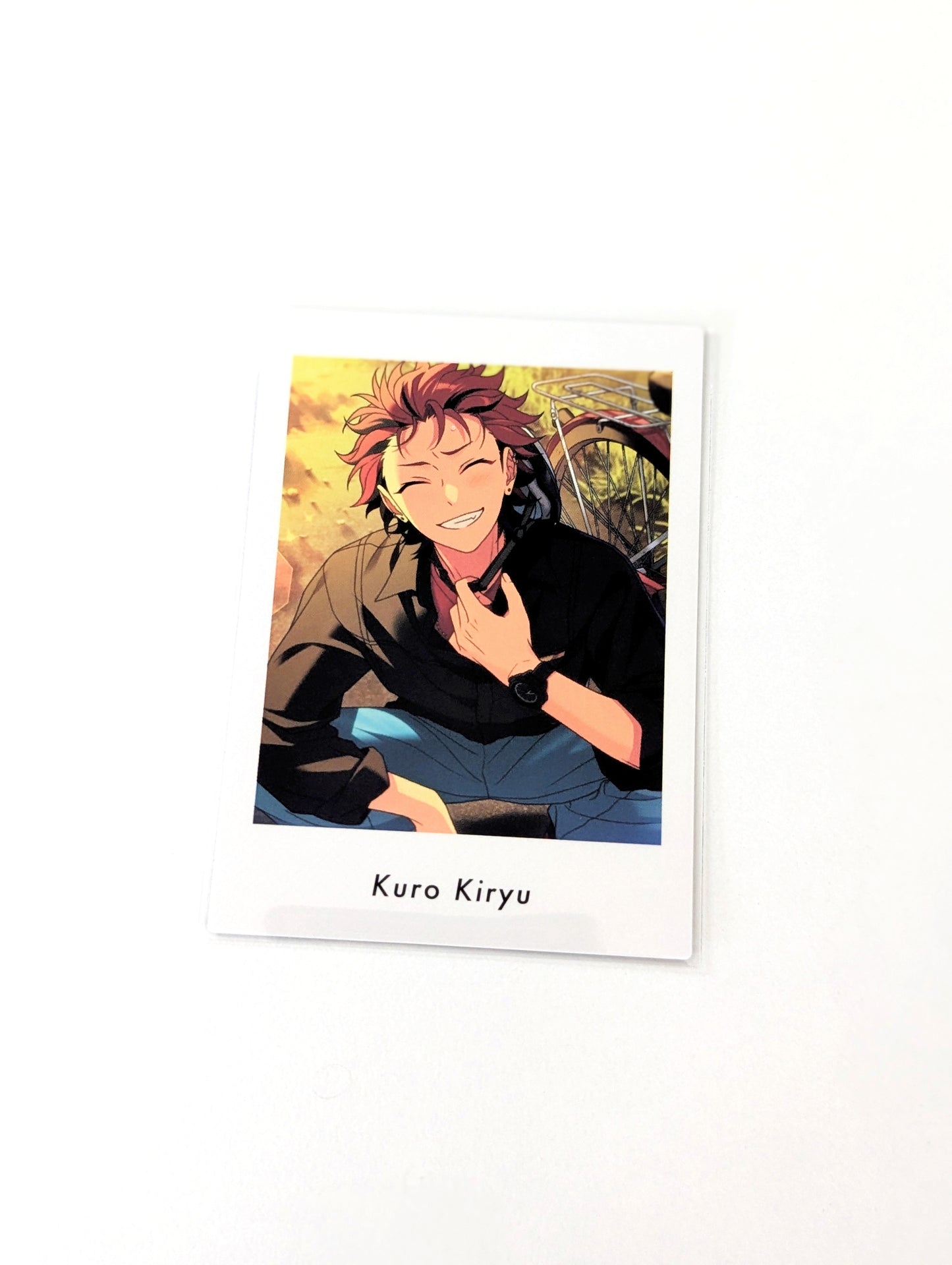 Ensemble Stars!! P.A.shots!! Vol.6 Private