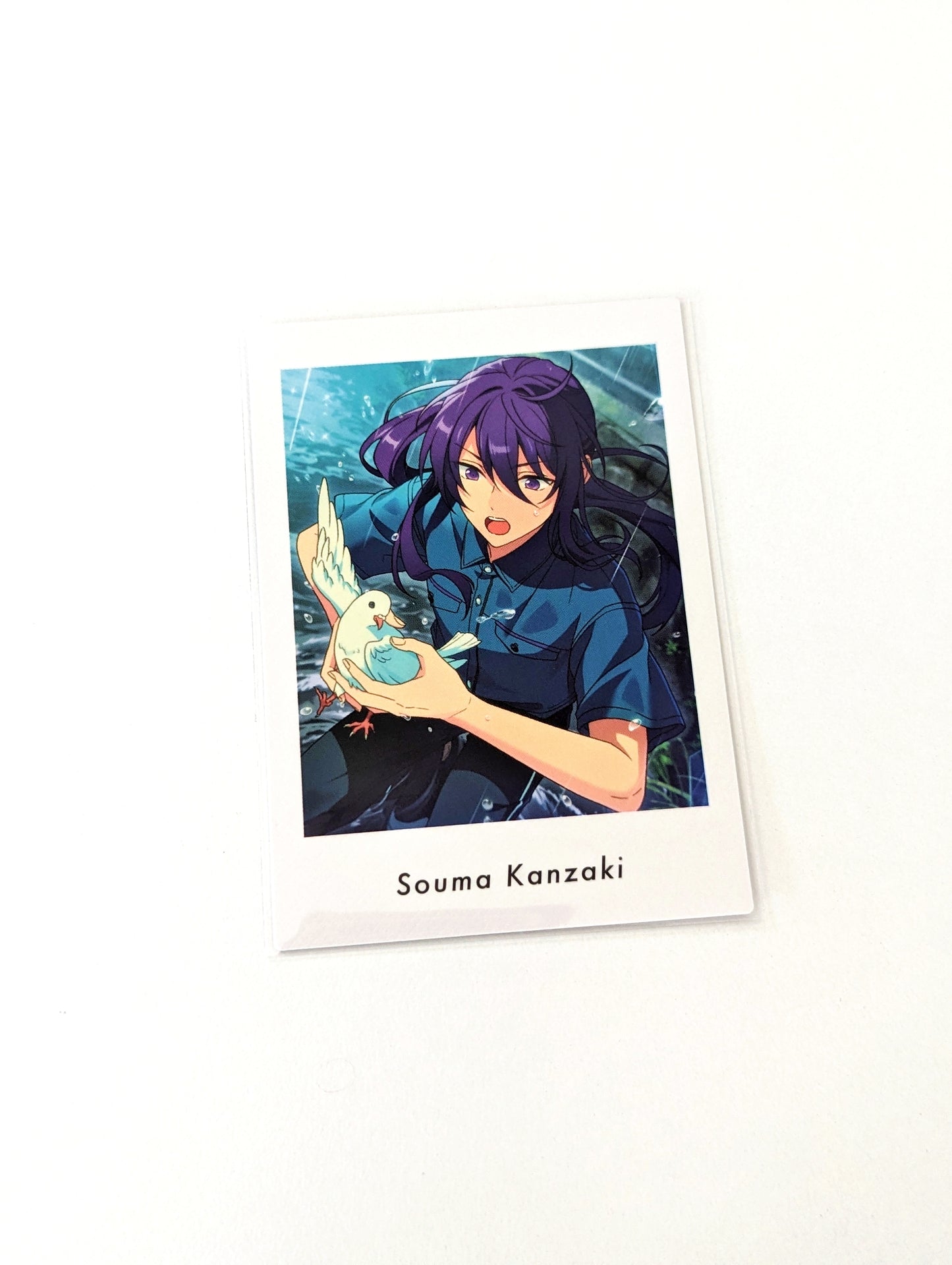 Ensemble Stars!! P.A.shots!! Vol.6 Private