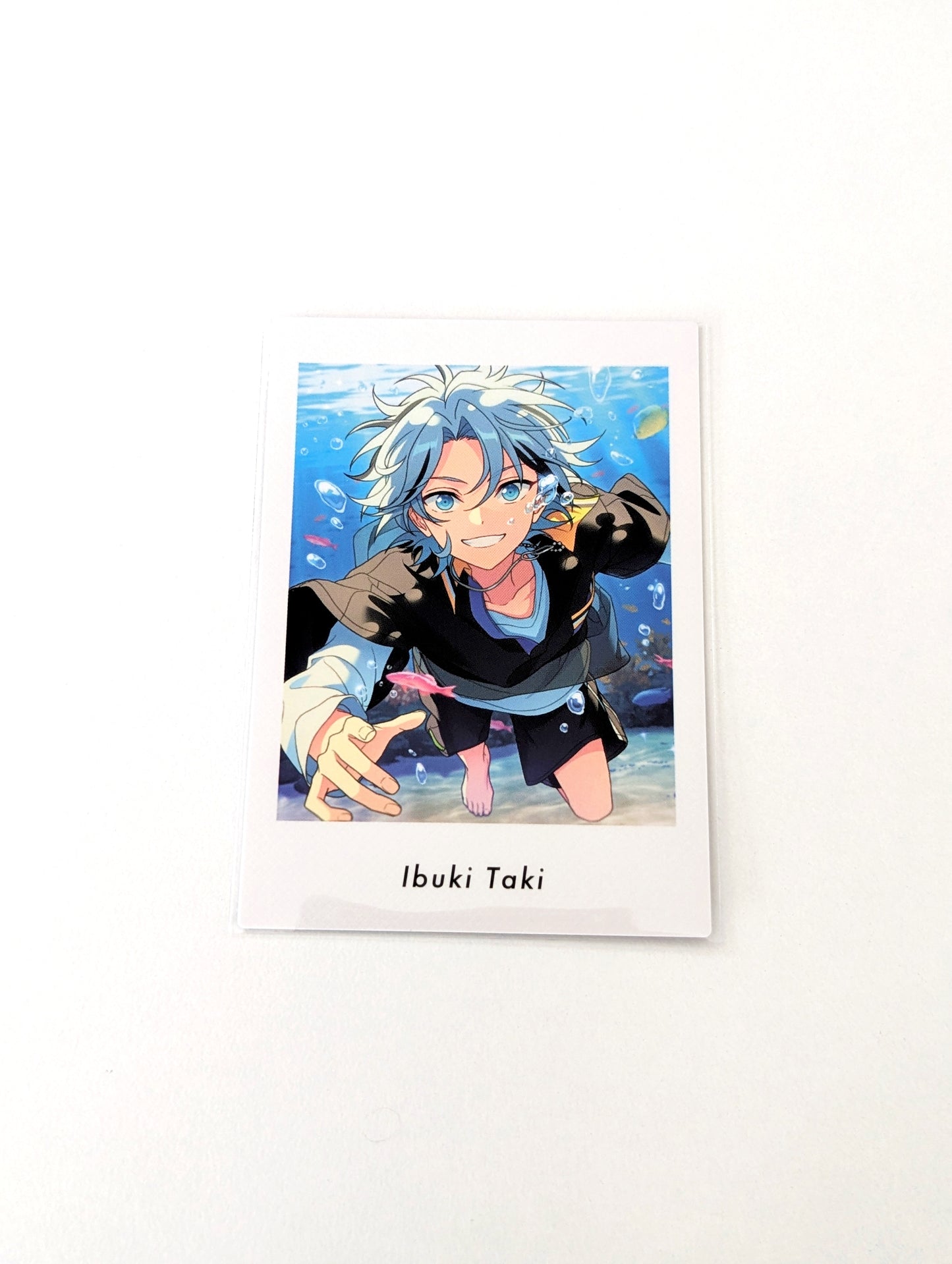 Ensemble Stars!! P.A.shots!! Vol.6 Private