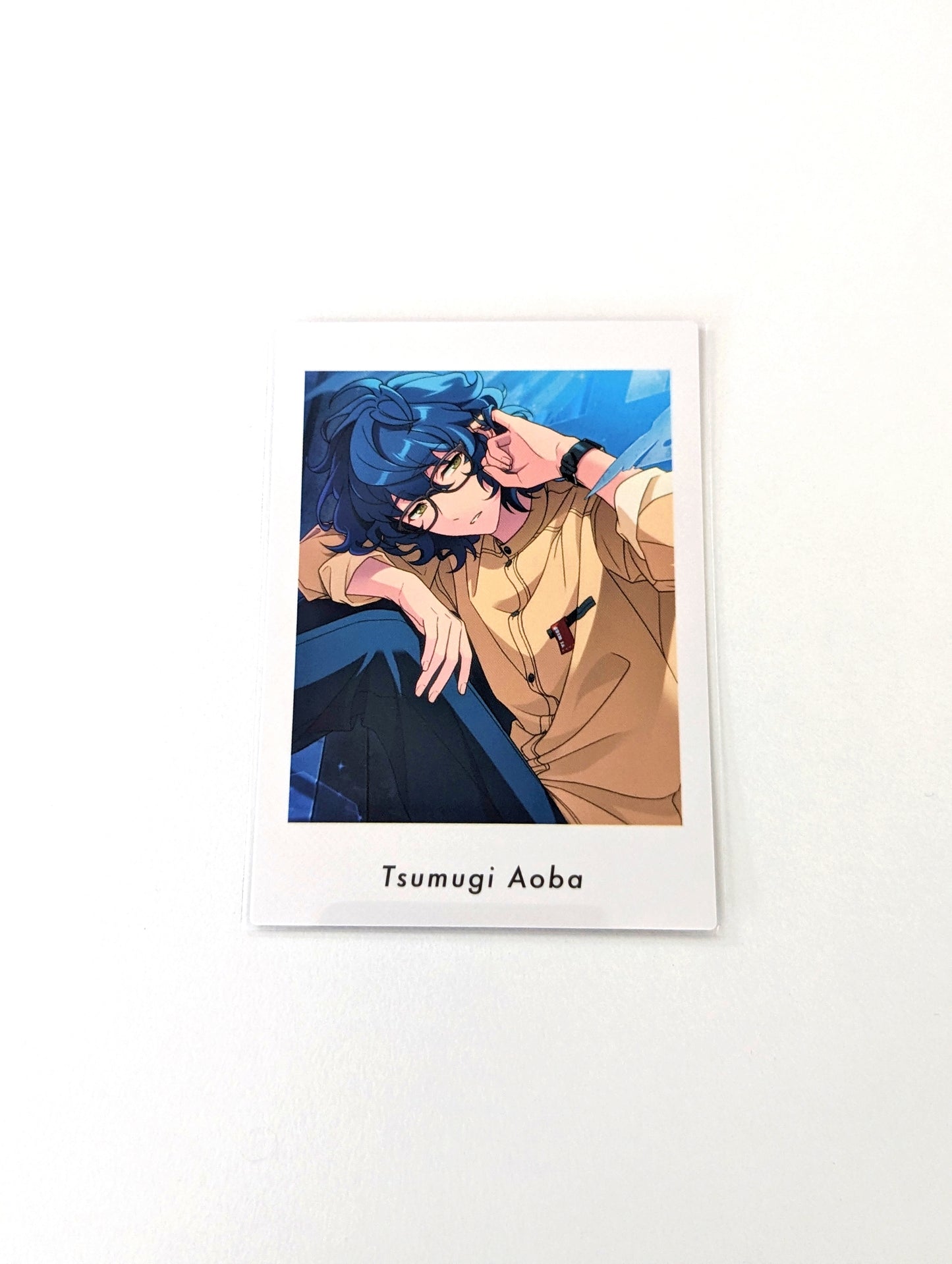 Ensemble Stars!! P.A.shots!! Vol.6 Private