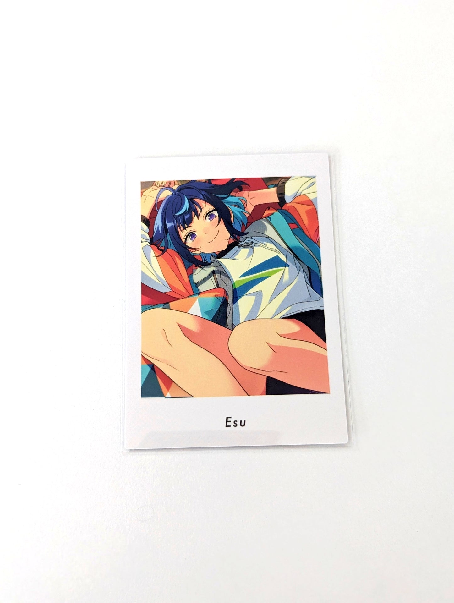 Ensemble Stars!! P.A.shots!! Vol.6 Private