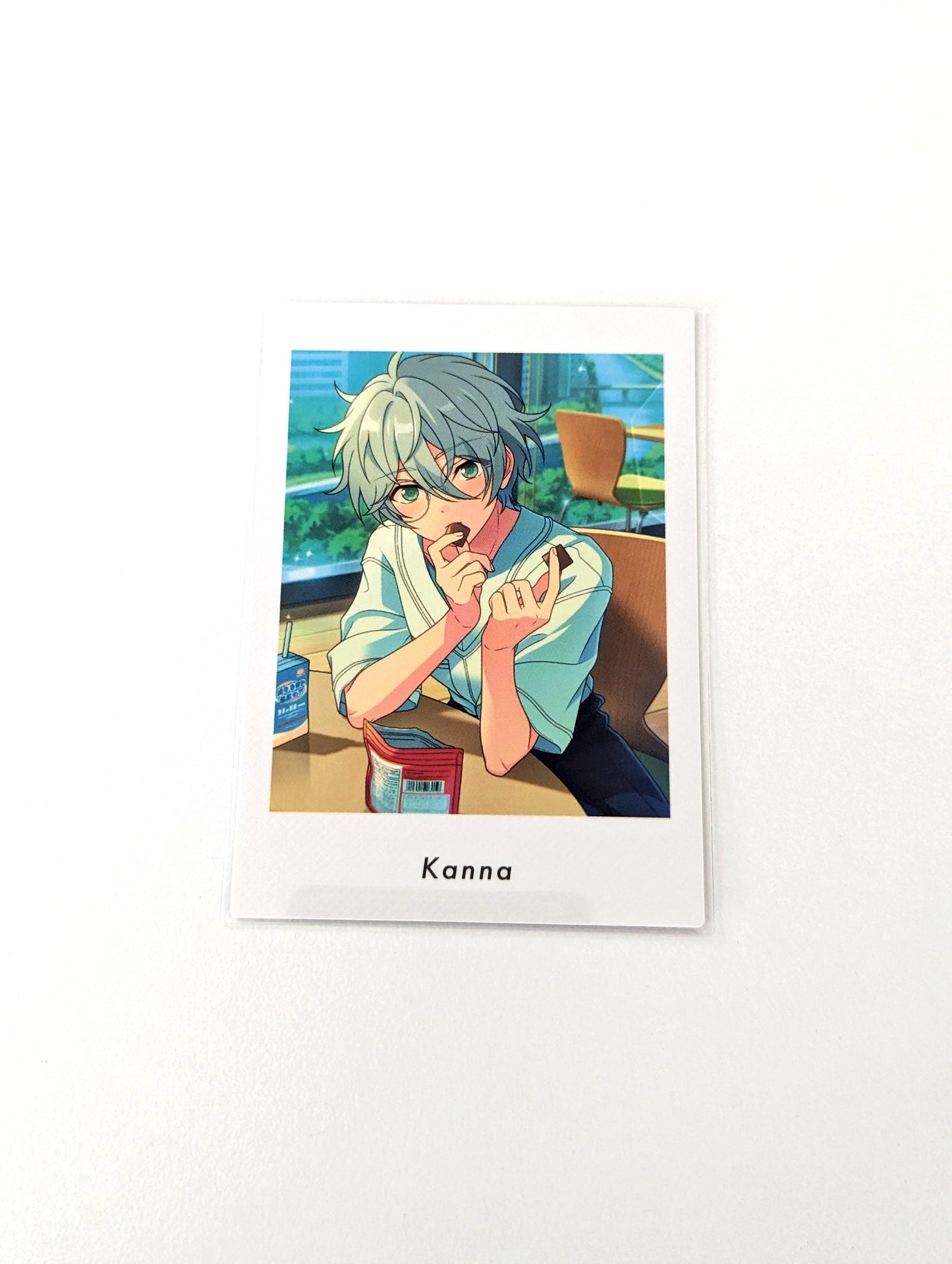 Ensemble Stars!! P.A.shots!! Vol.6 Private