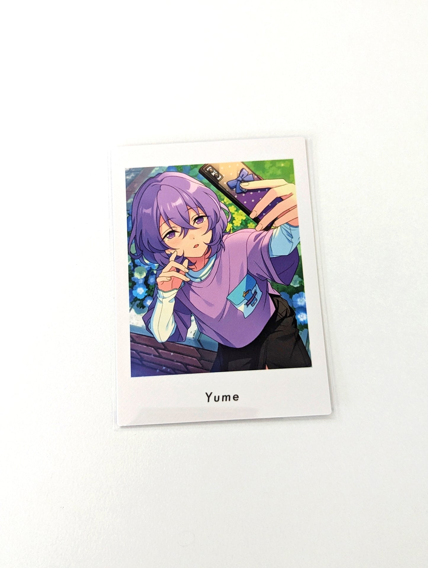 Ensemble Stars!! P.A.shots!! Vol.6 Private