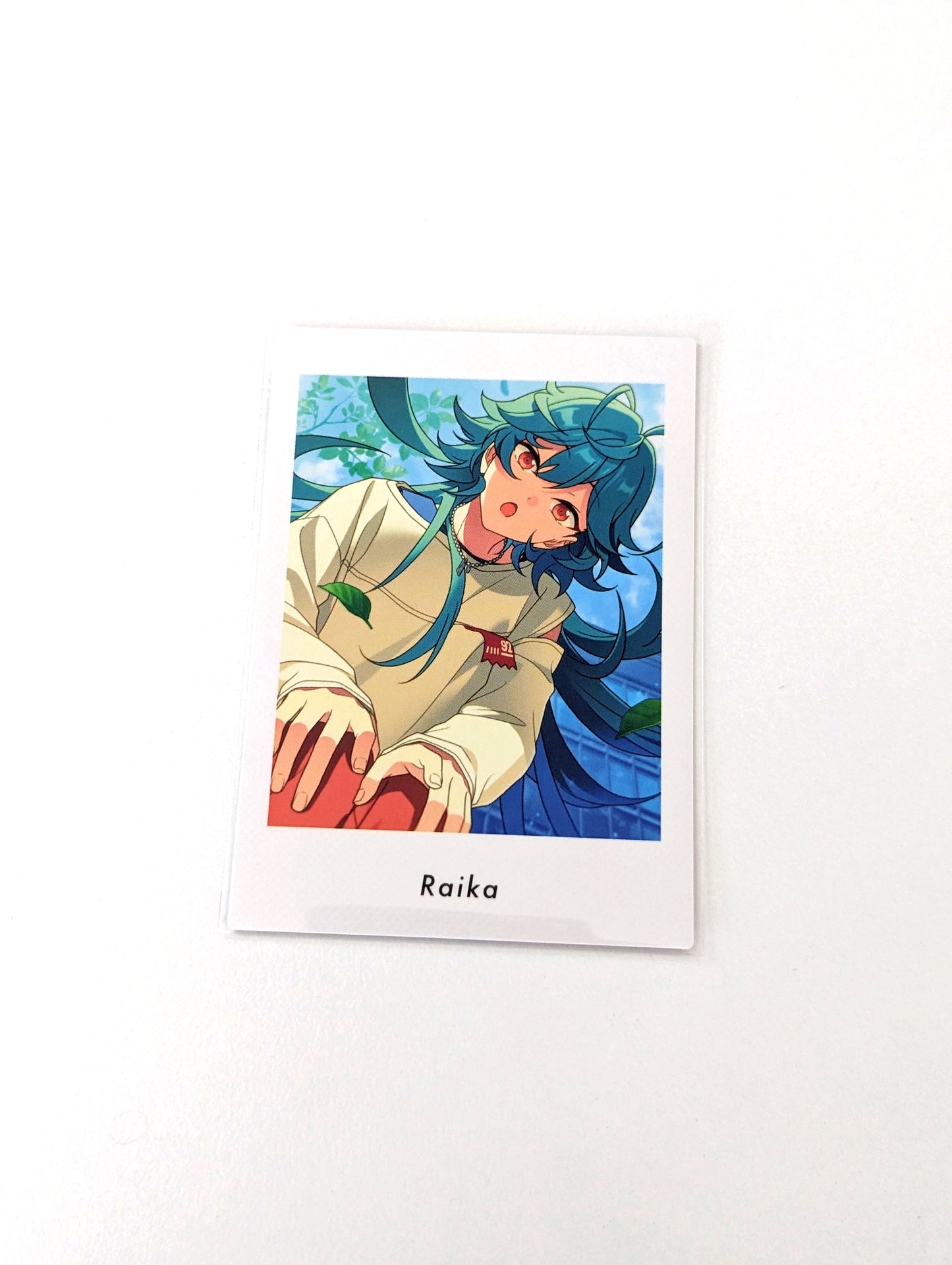 Ensemble Stars!! P.A.shots!! Vol.6 Private