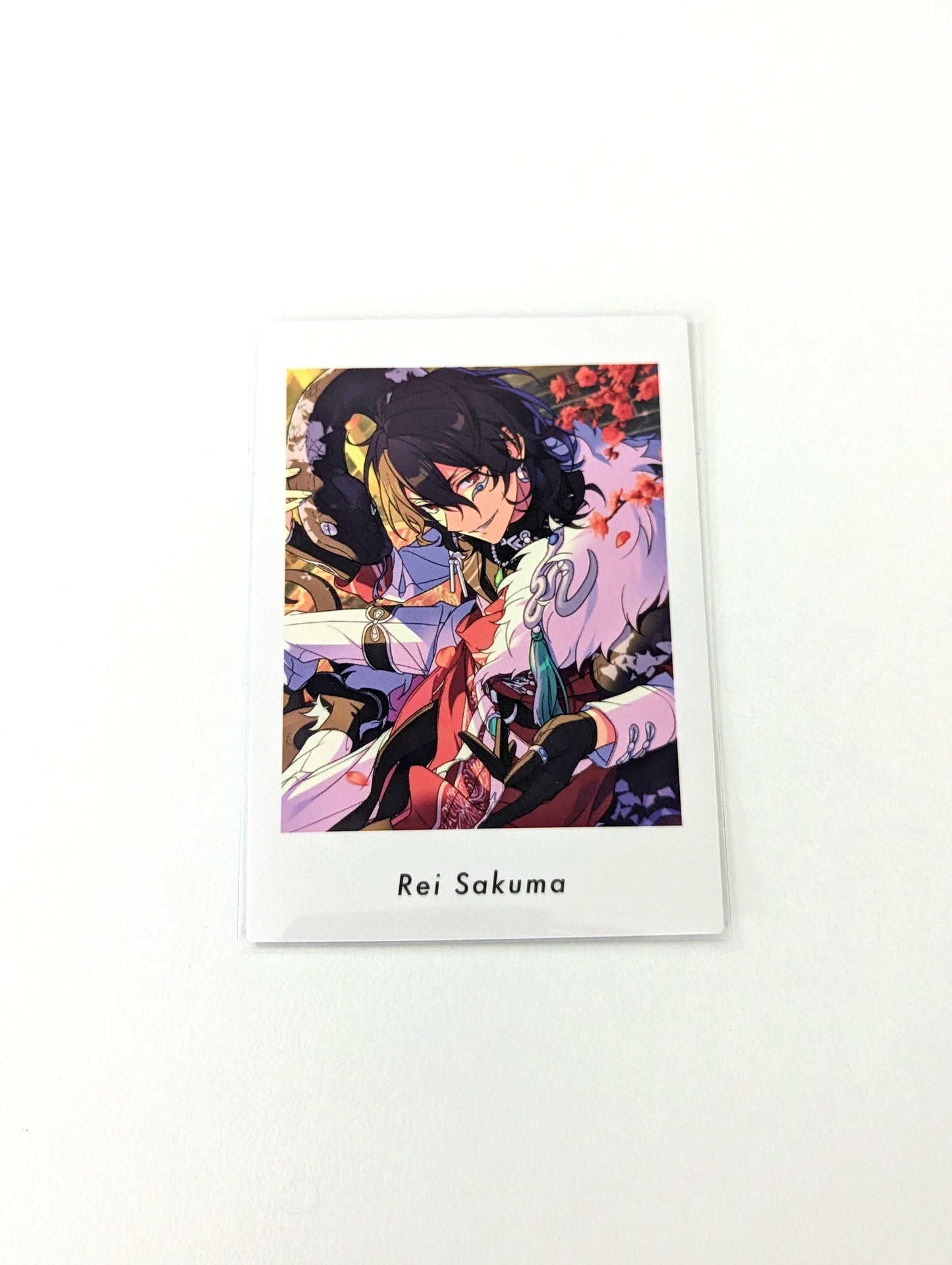 Ensemble Stars!! P.A.shots!! Vol.6 Action