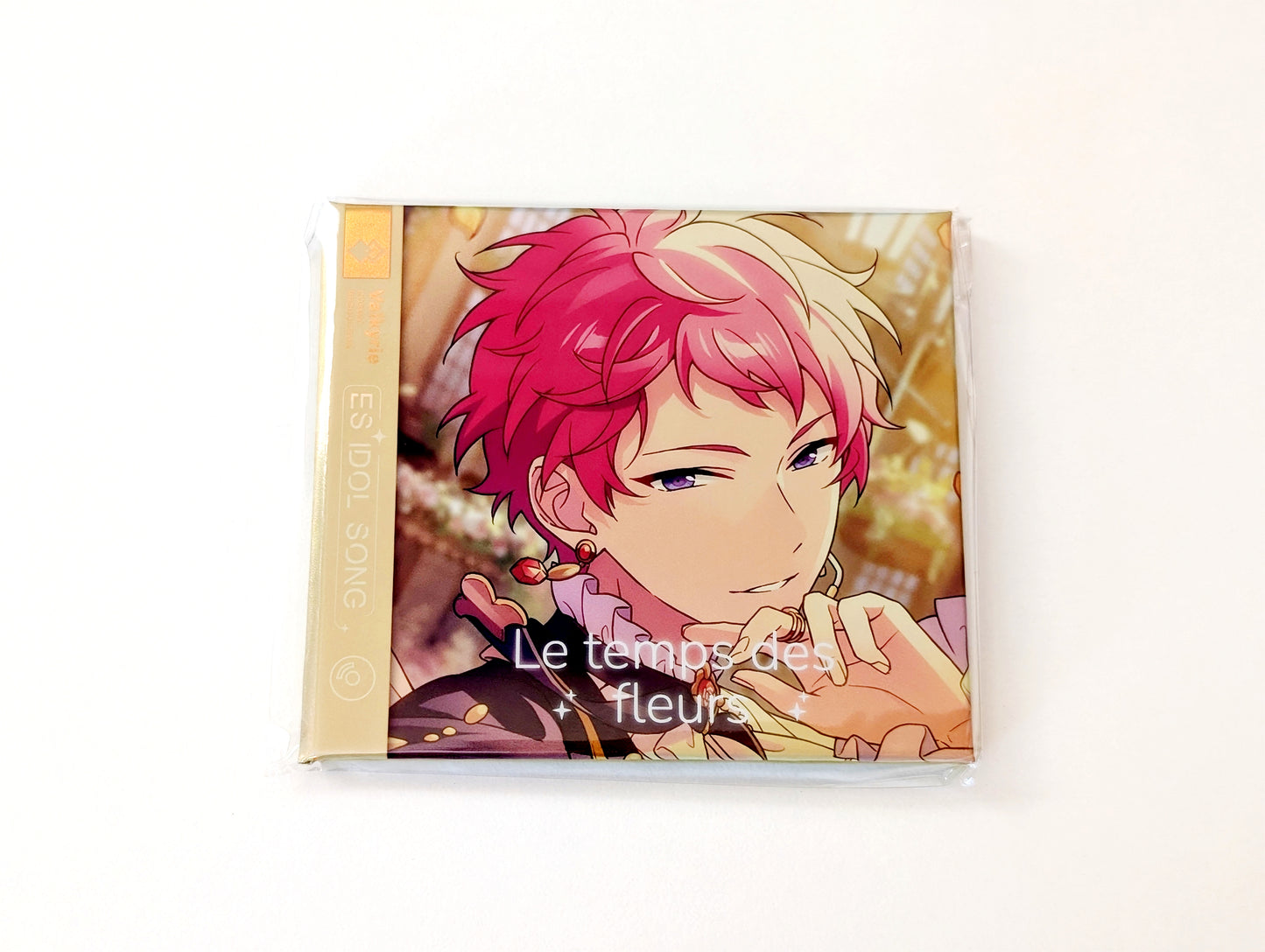 Ensemble Stars!! CN Mini Record Magnet