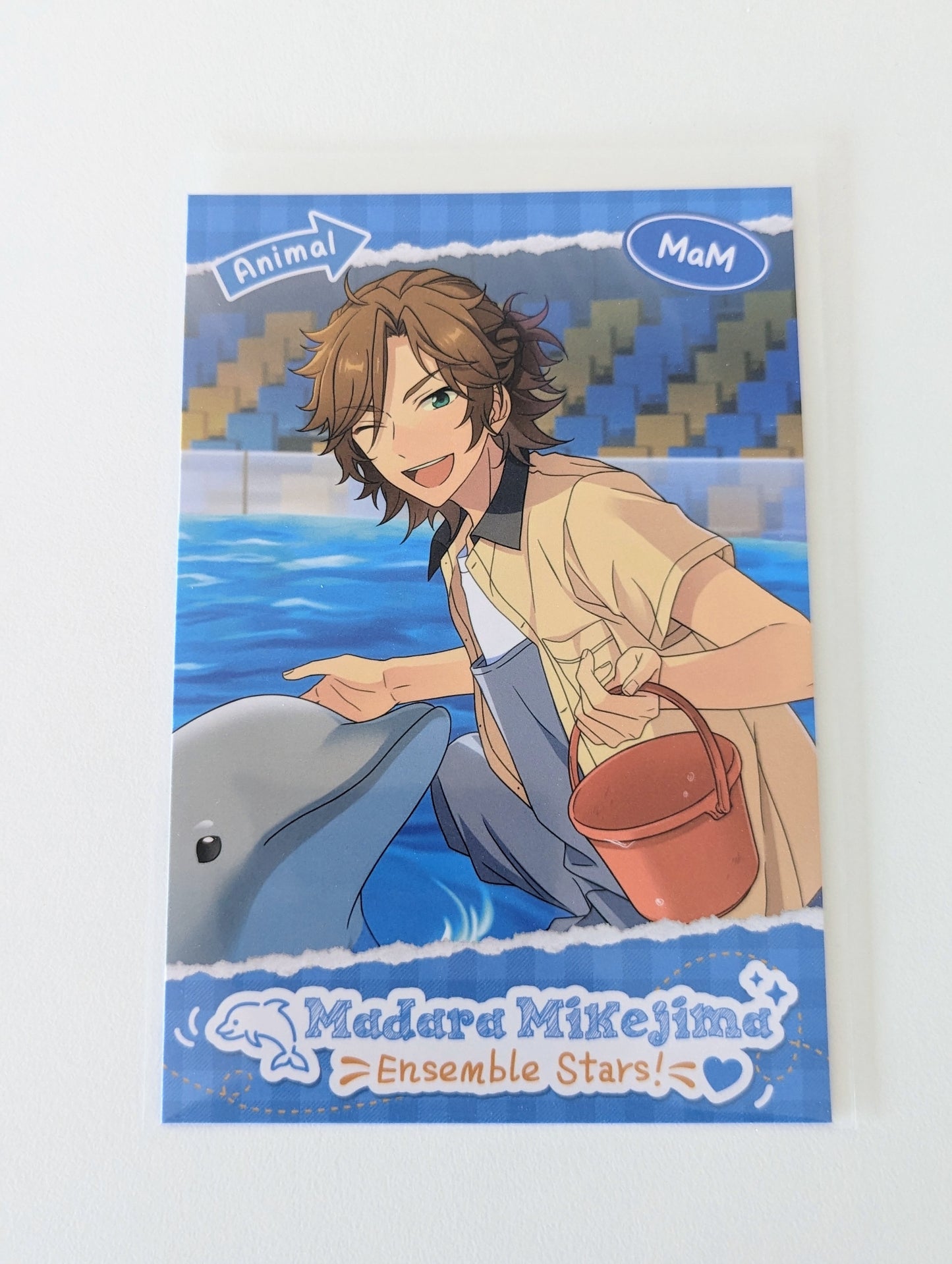 Ensemble Stars!! CN Animal Theme Postcard