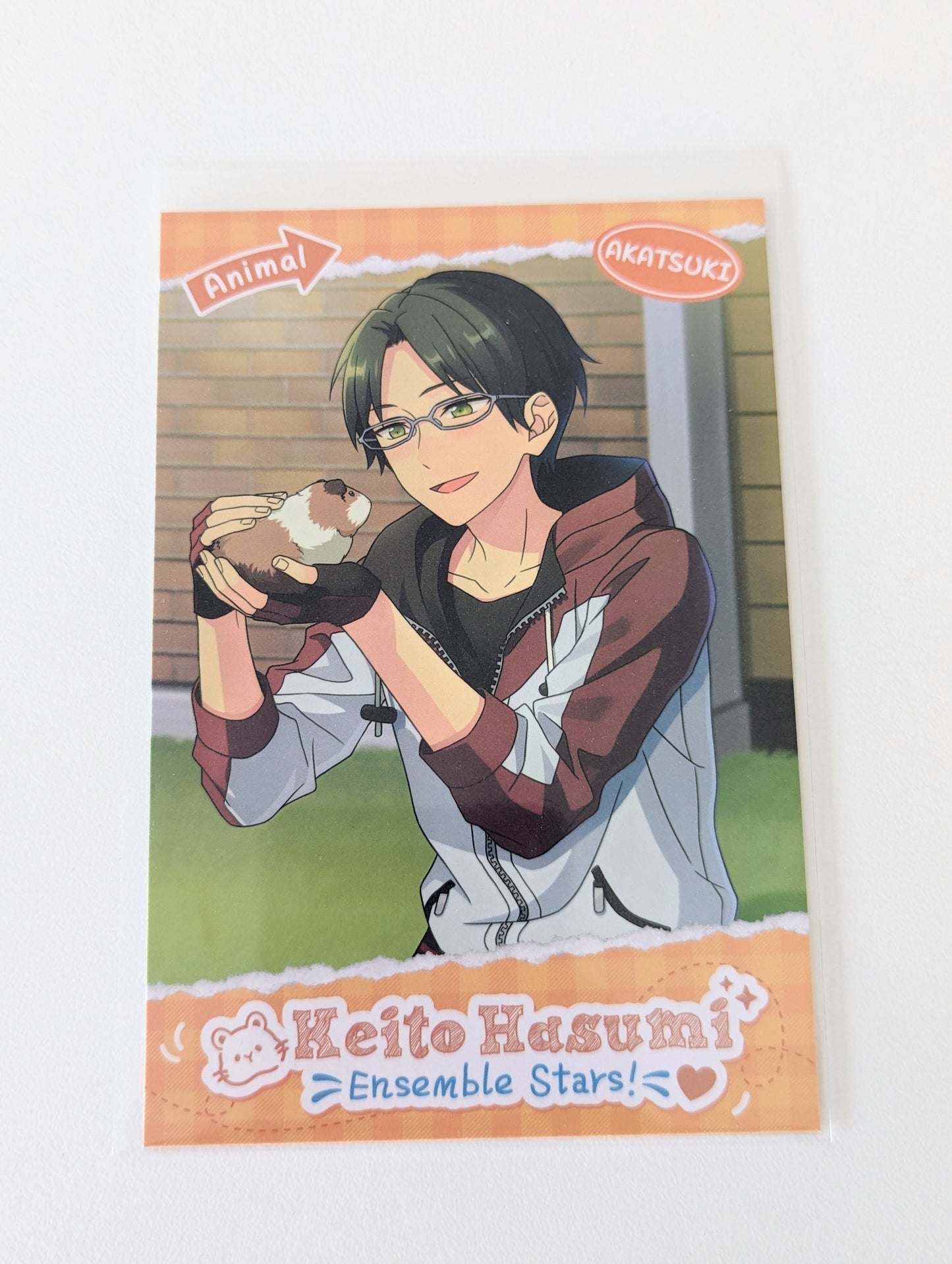 Ensemble Stars!! CN Animal Theme Postcard