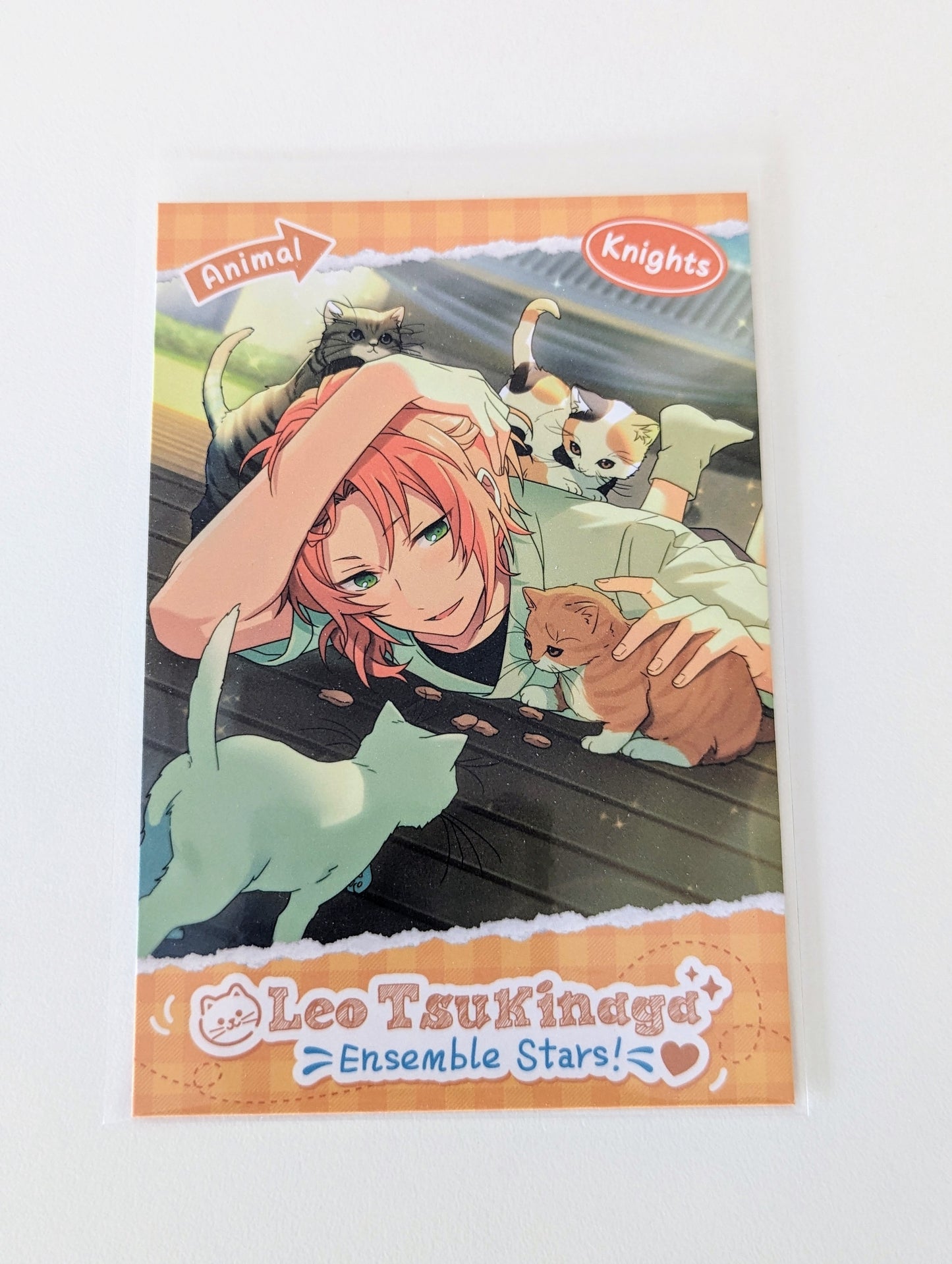 Ensemble Stars!! CN Animal Theme Postcard