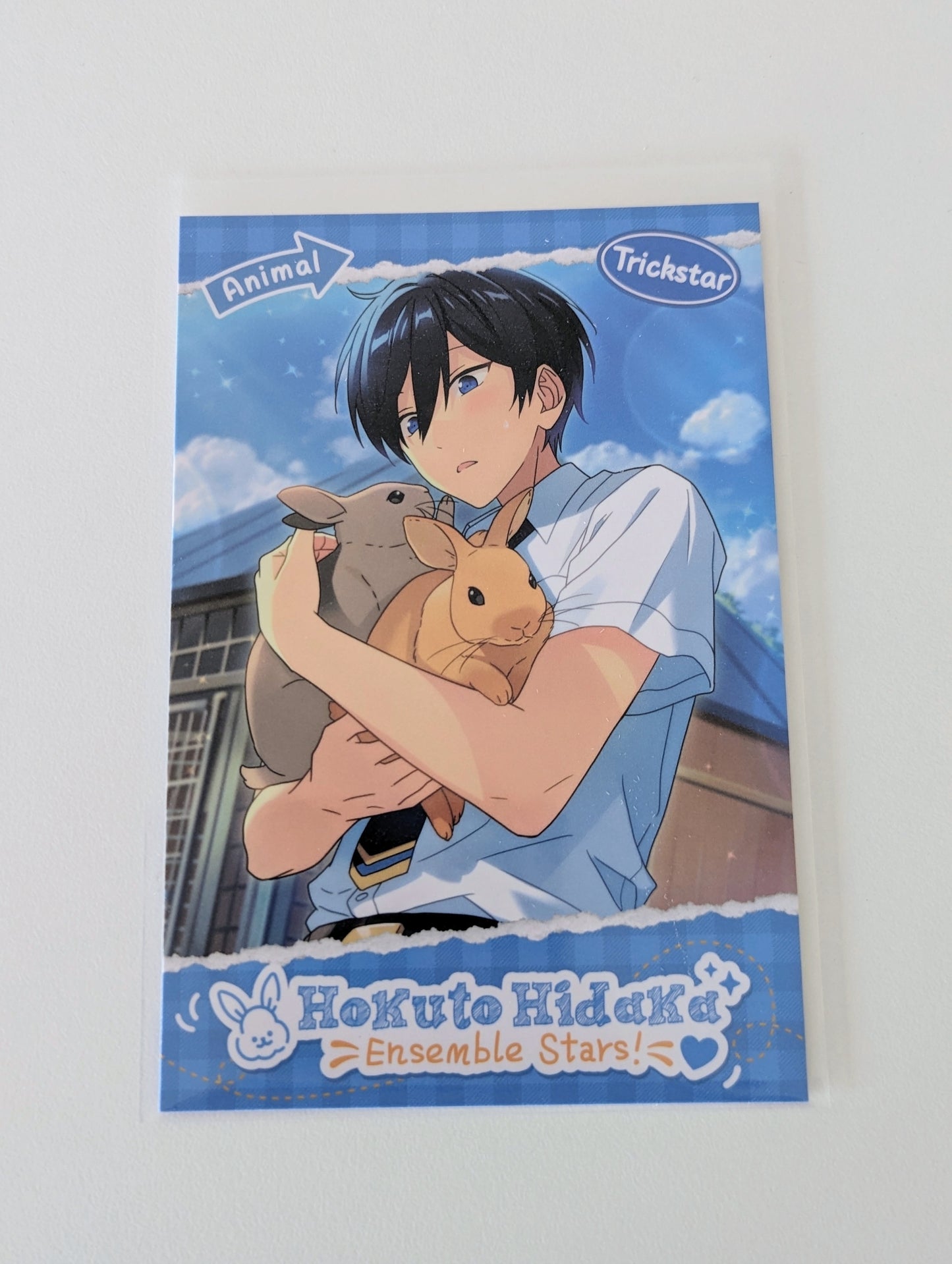 Ensemble Stars!! CN Animal Theme Postcard