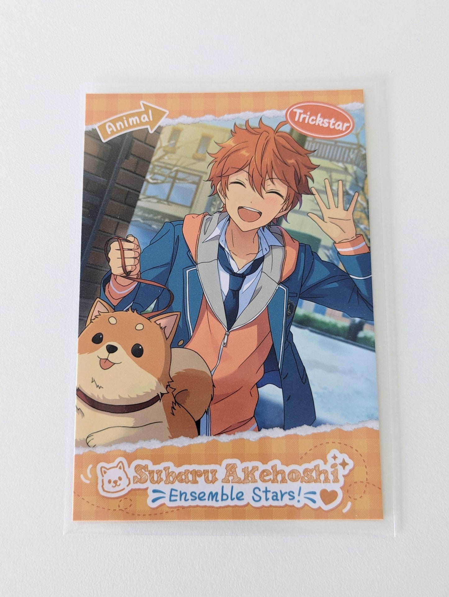 Ensemble Stars!! CN Animal Theme Postcard