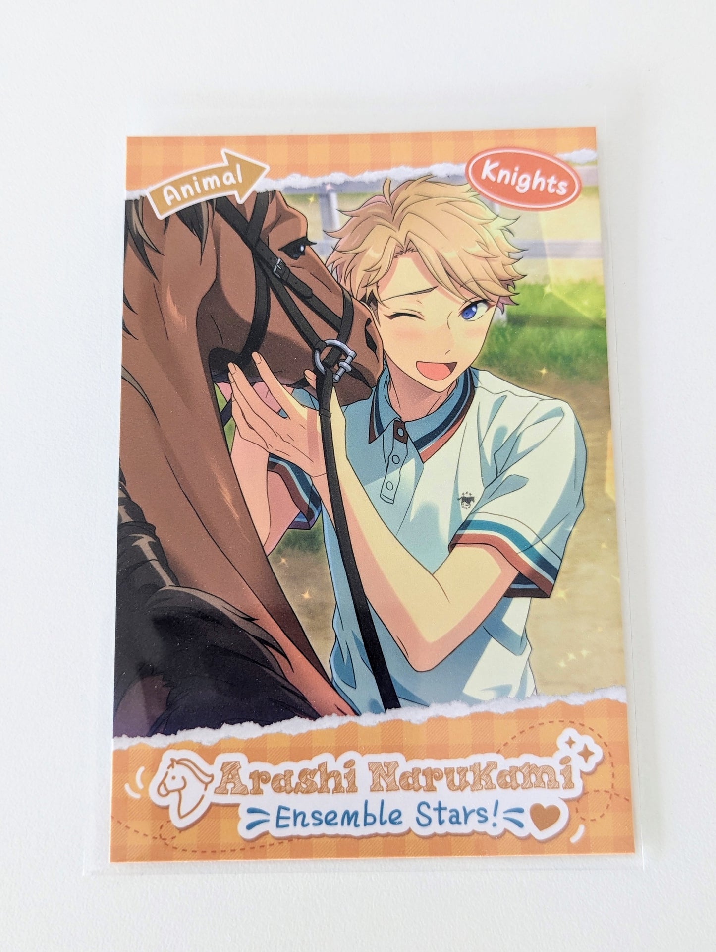 Ensemble Stars!! CN Animal Theme Postcard