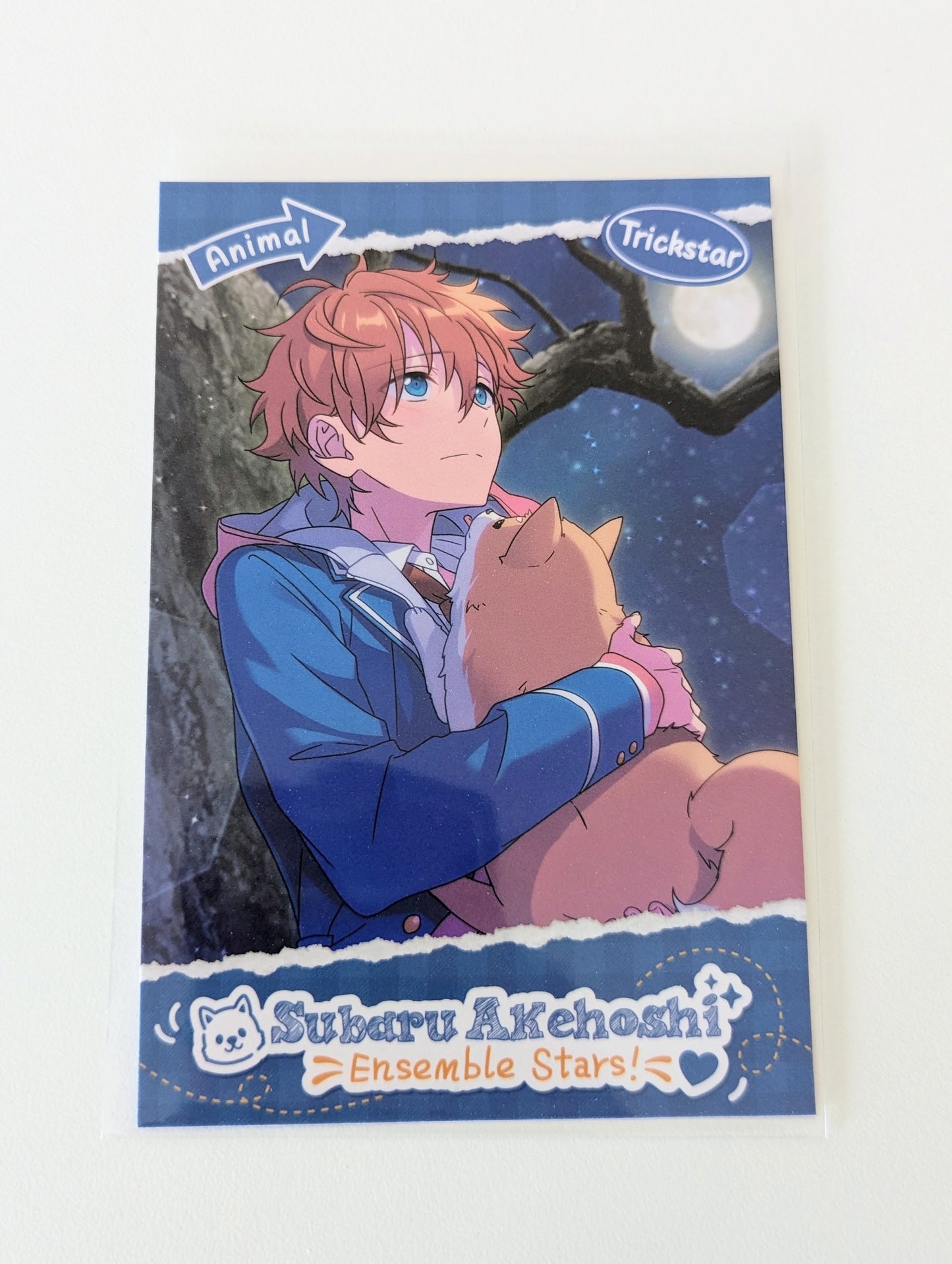 Ensemble Stars!! CN Animal Theme Postcard