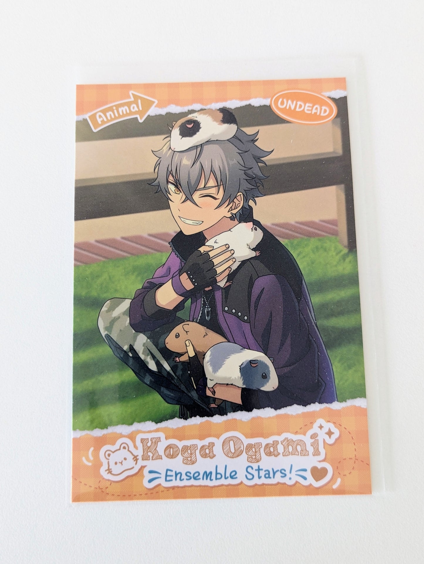 Ensemble Stars!! CN Animal Theme Postcard