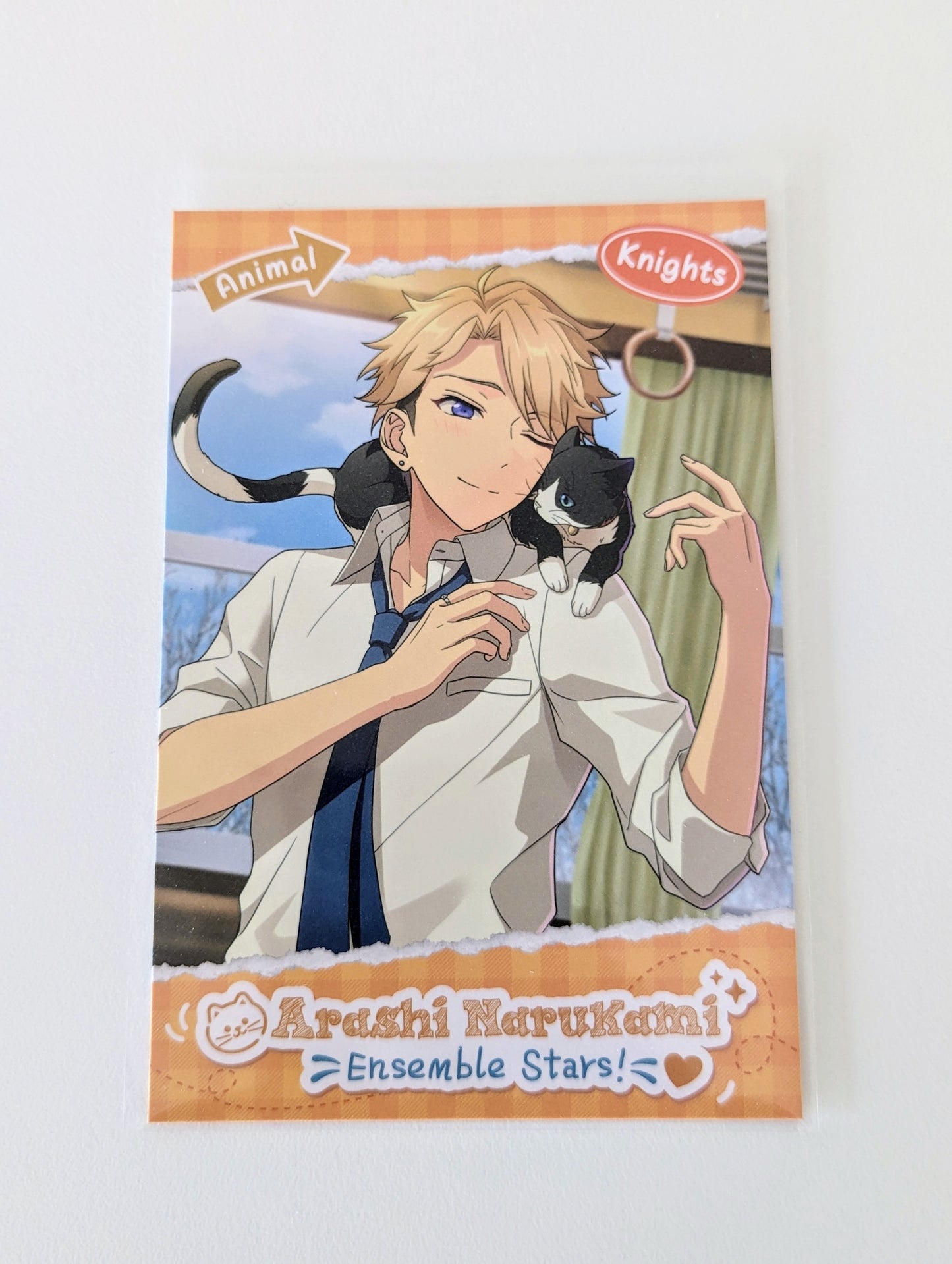 Ensemble Stars!! CN Animal Theme Postcard