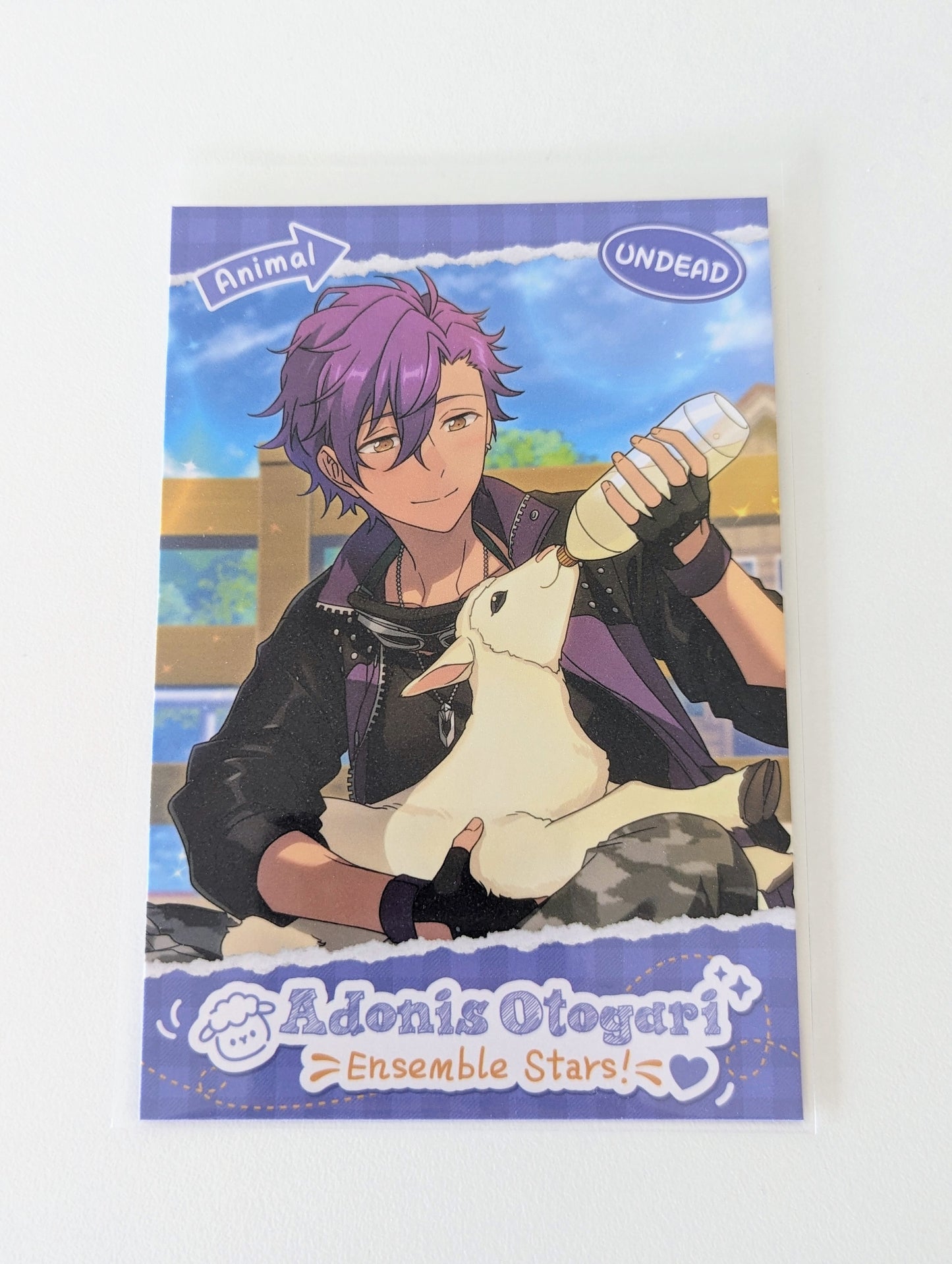 Ensemble Stars!! CN Animal Theme Postcard