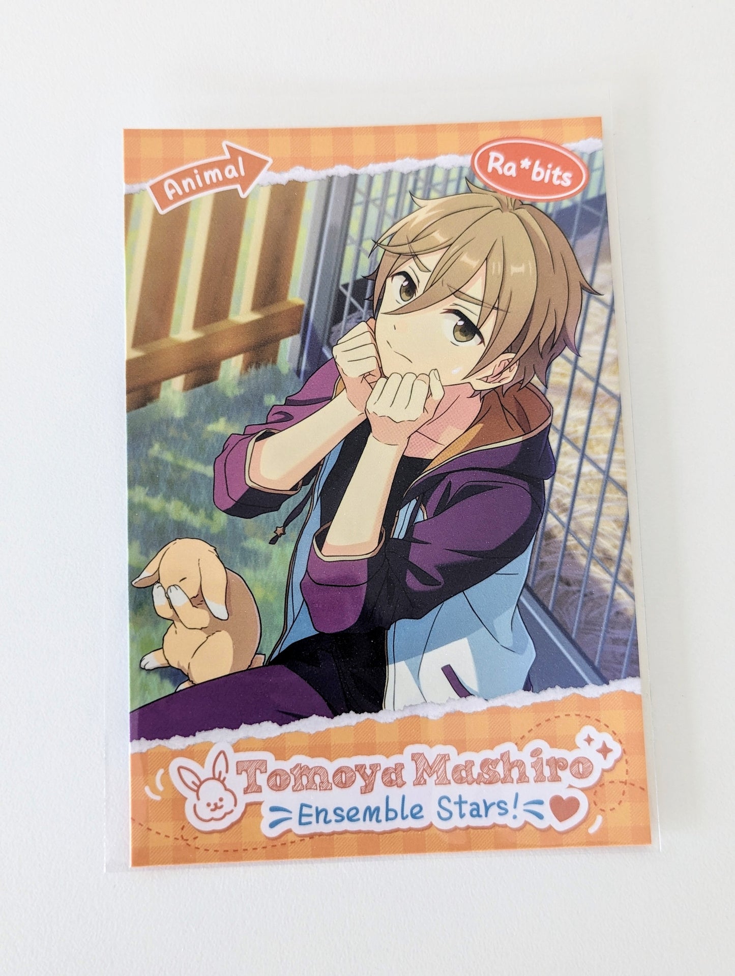 Ensemble Stars!! CN Animal Theme Postcard